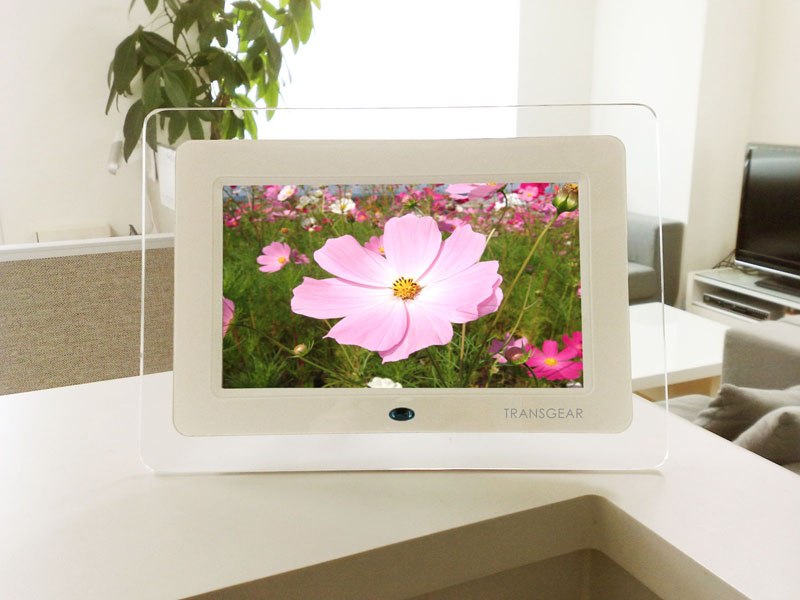 <b>トランスギアTGP-901</b>