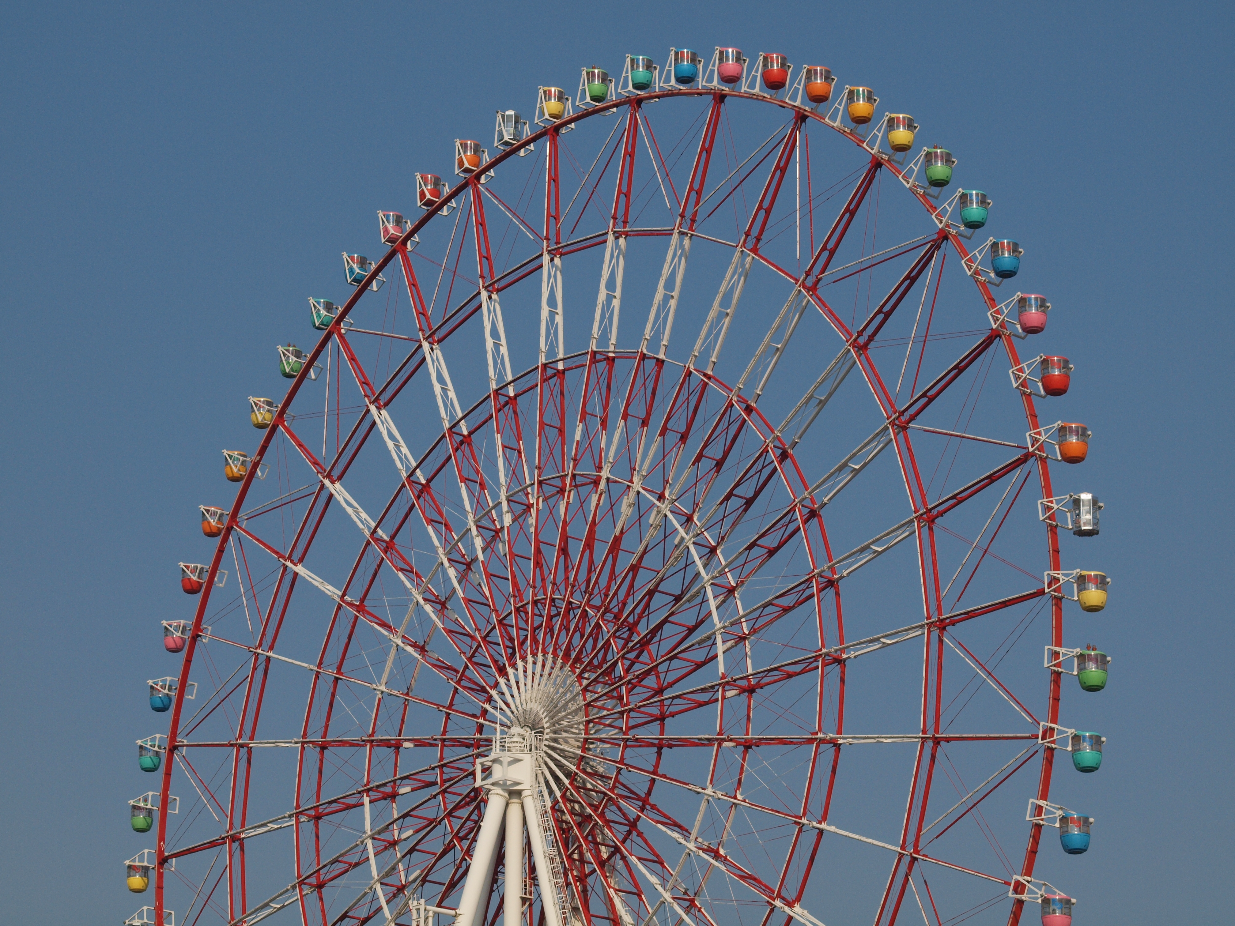 <b>E-620（ISO400）<br>4,032×3,024 / ZUIKO DIGITAL ED 50mm F2 Macro / 1/1000秒 / F11 / WB：晴天 / 50mm</b>