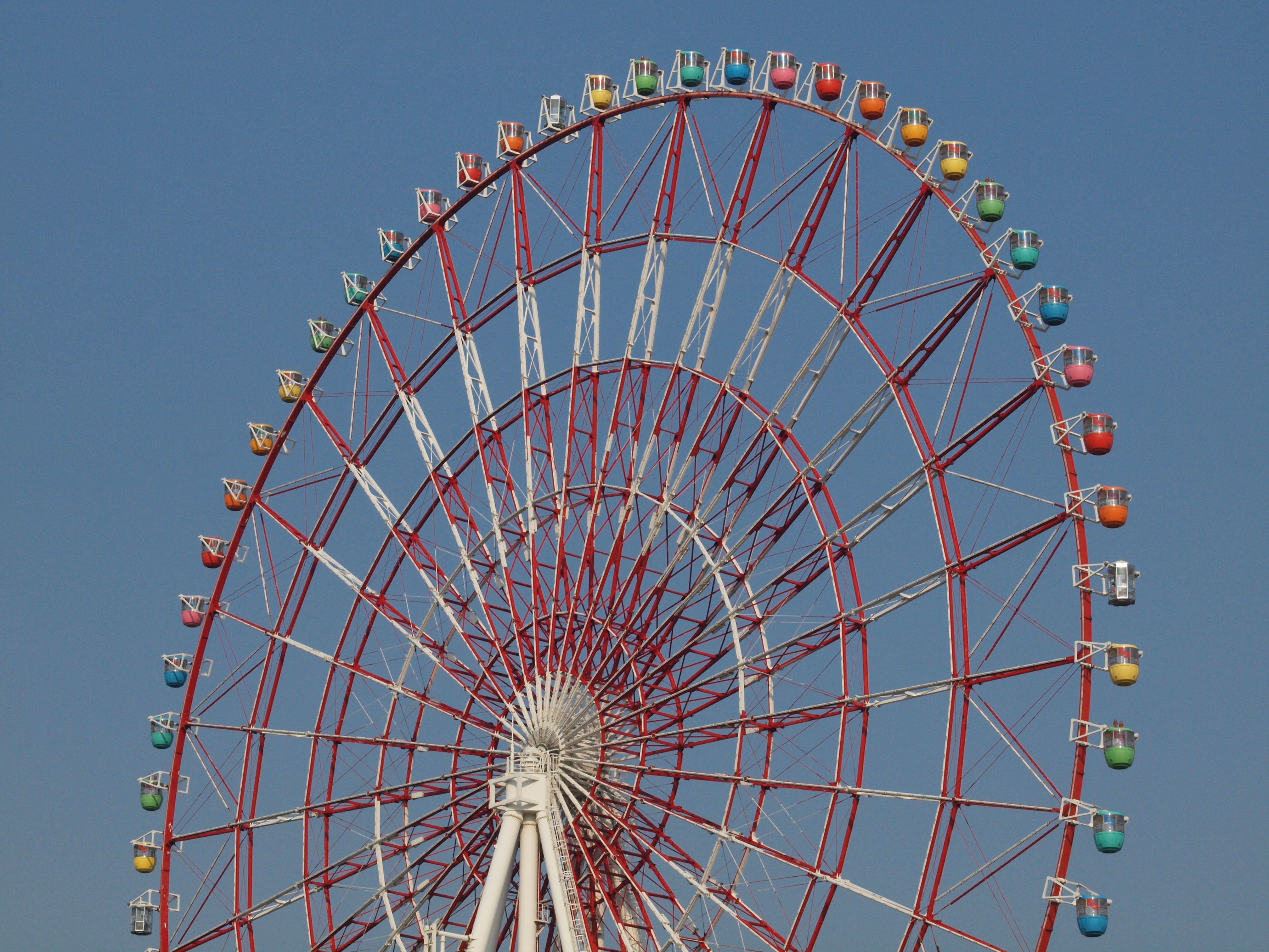 <b>E-620（ISO800）<br>4,032×3,024 / ZUIKO DIGITAL ED 50mm F2 Macro / 1/2000秒 / F11 / WB：晴天 / 50mm</b>