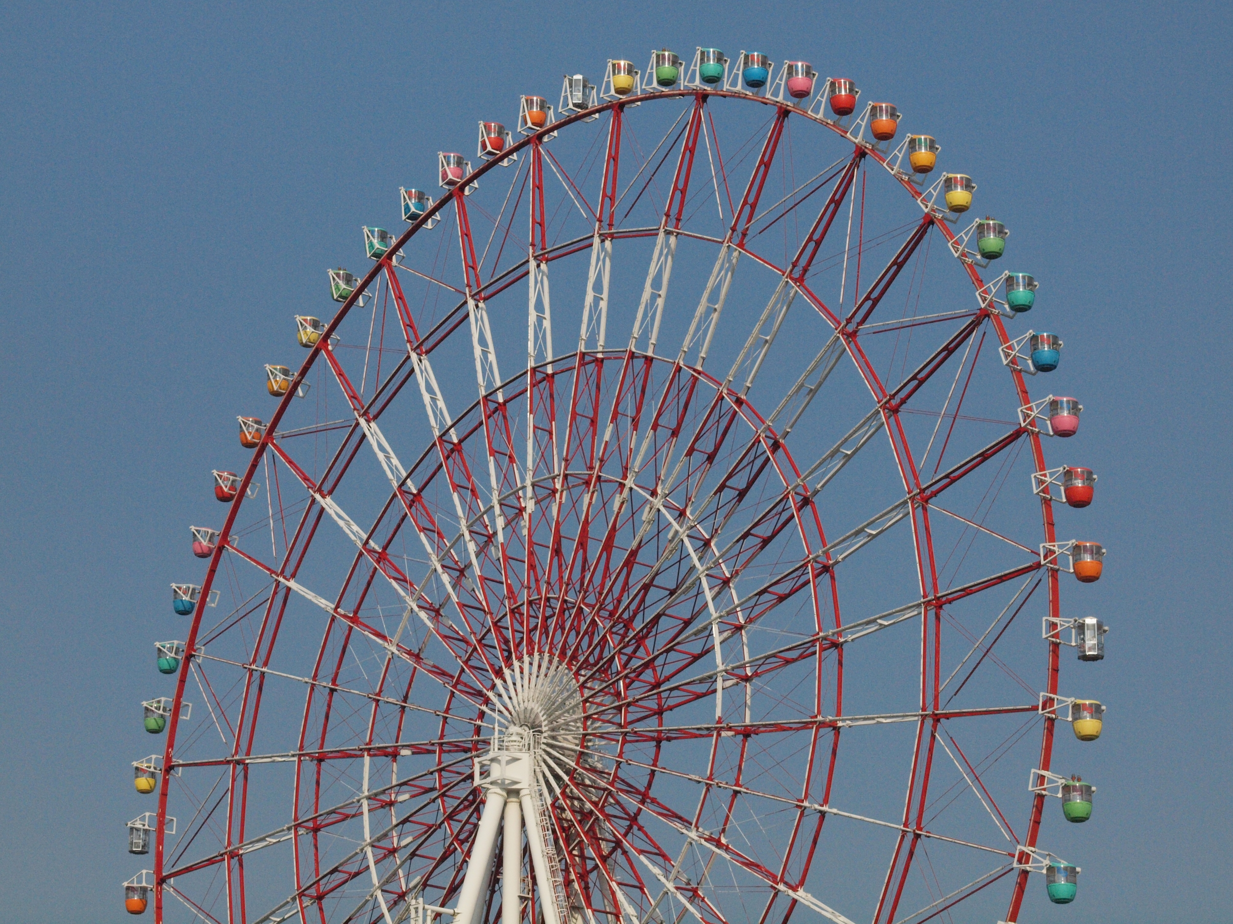 <b>E-620（ISO1600）<br>4,032×3,024 / ZUIKO DIGITAL ED 50mm F2 Macro / 1/4000秒 / F11 / WB：晴天 / 50mm</b>