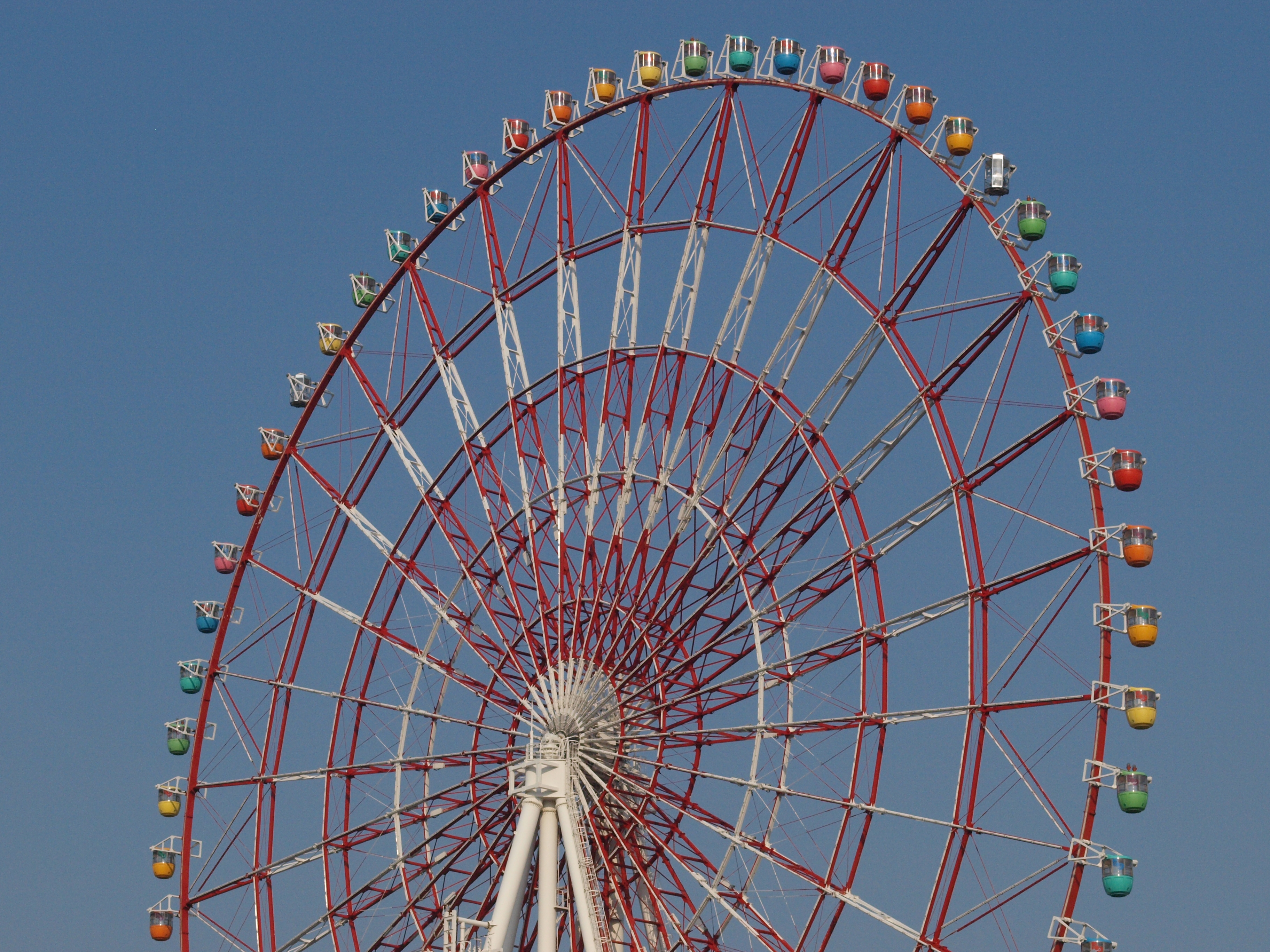 <b>E-520（ISO800）<br>3,648×2,736 / ZUIKO DIGITAL ED 50mm F2 Macro / 1/2000秒 / F11 / WB：晴天 / 50mm</b>