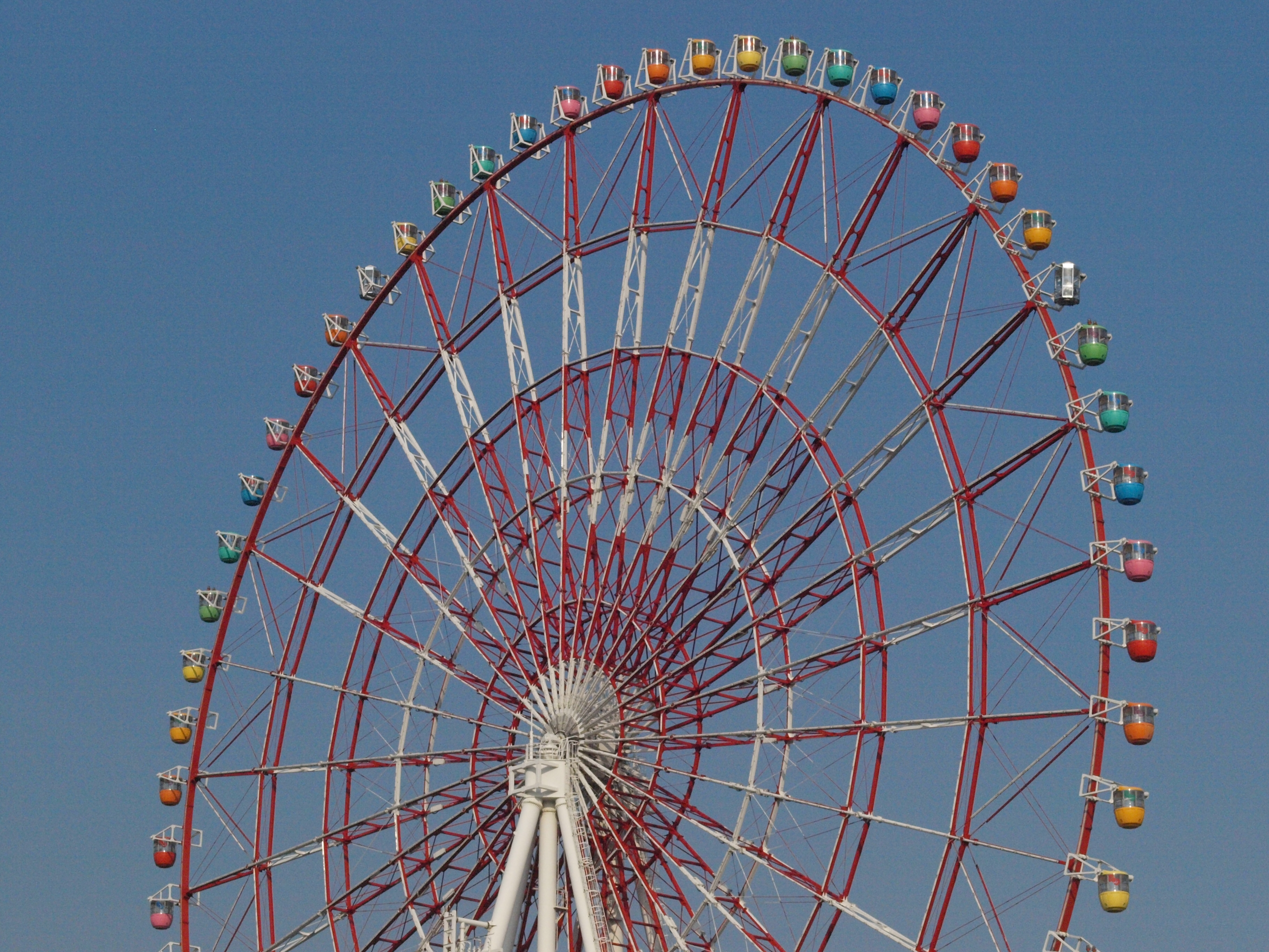 <b>E-520（ISO1600）<br>3,648×2,736 / ZUIKO DIGITAL ED 50mm F2 Macro / 1/4000秒 / F11 / WB：晴天 / 50mm</b>