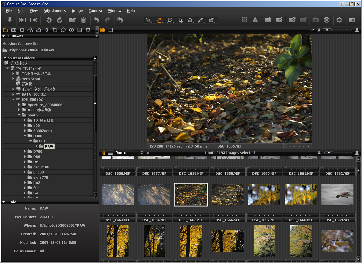 <b>Capture One 4（写真は4.5）</b>