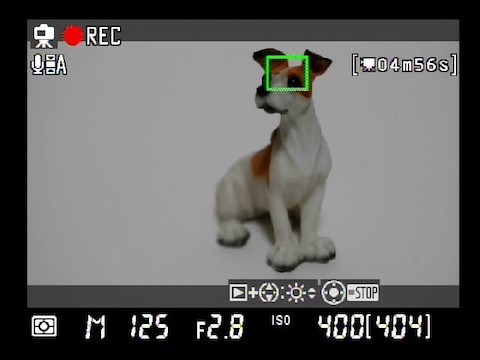 <b>録画中のライブビュー画面</b>