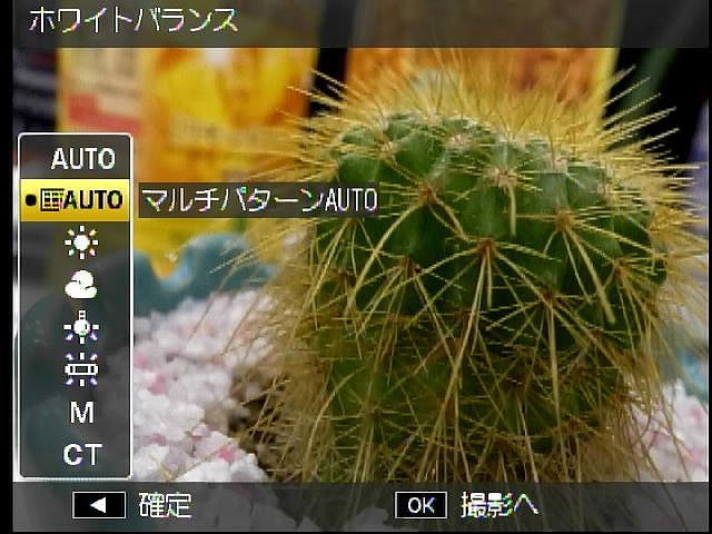 <b>光源時応じて画面を分割して各部に最適なホワイトバランスを適用する「マルチパターンAUTOホワイトバランス」</b>