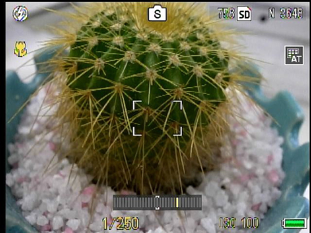 <b>新搭載したシャッター速度優先AE</b>