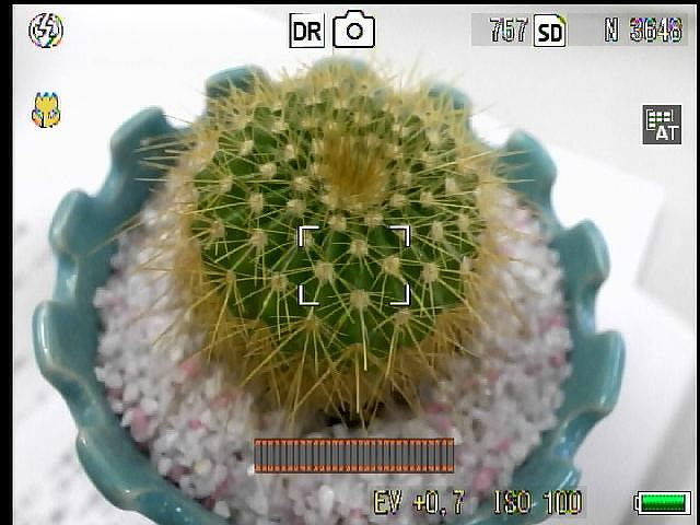 <b>2枚の画像を連写し、明暗差の大きいシーンで白トビや黒ツブレを防ぐ「ダイナミックレンジダブルショット」</b>