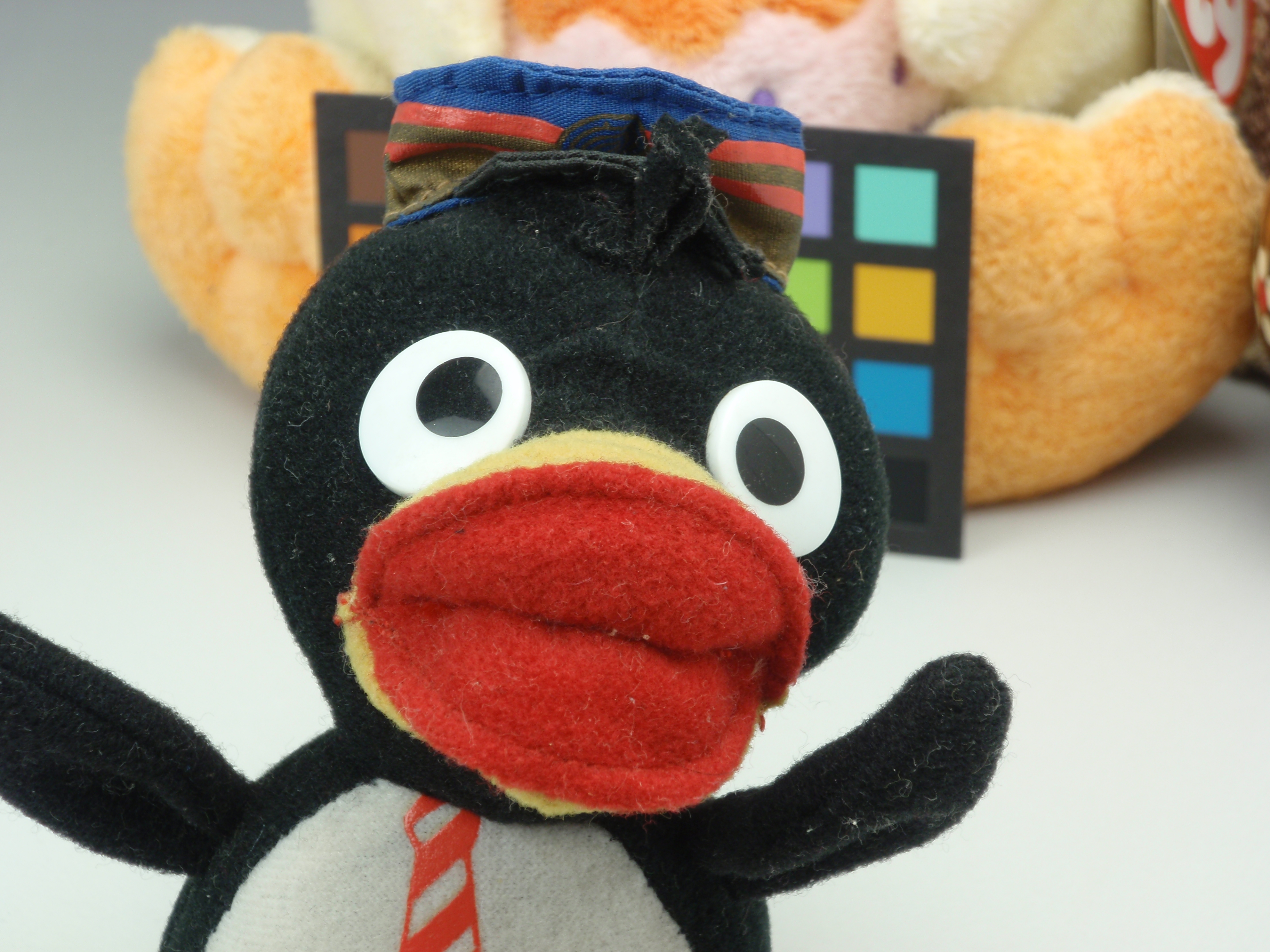 <b>μTOUGH-6010 / 約4.2MB / 3,968×2,976 / 1/20秒 / F5.1 / 0EV / ISO64 / WB:オート / 18.2mm</b>