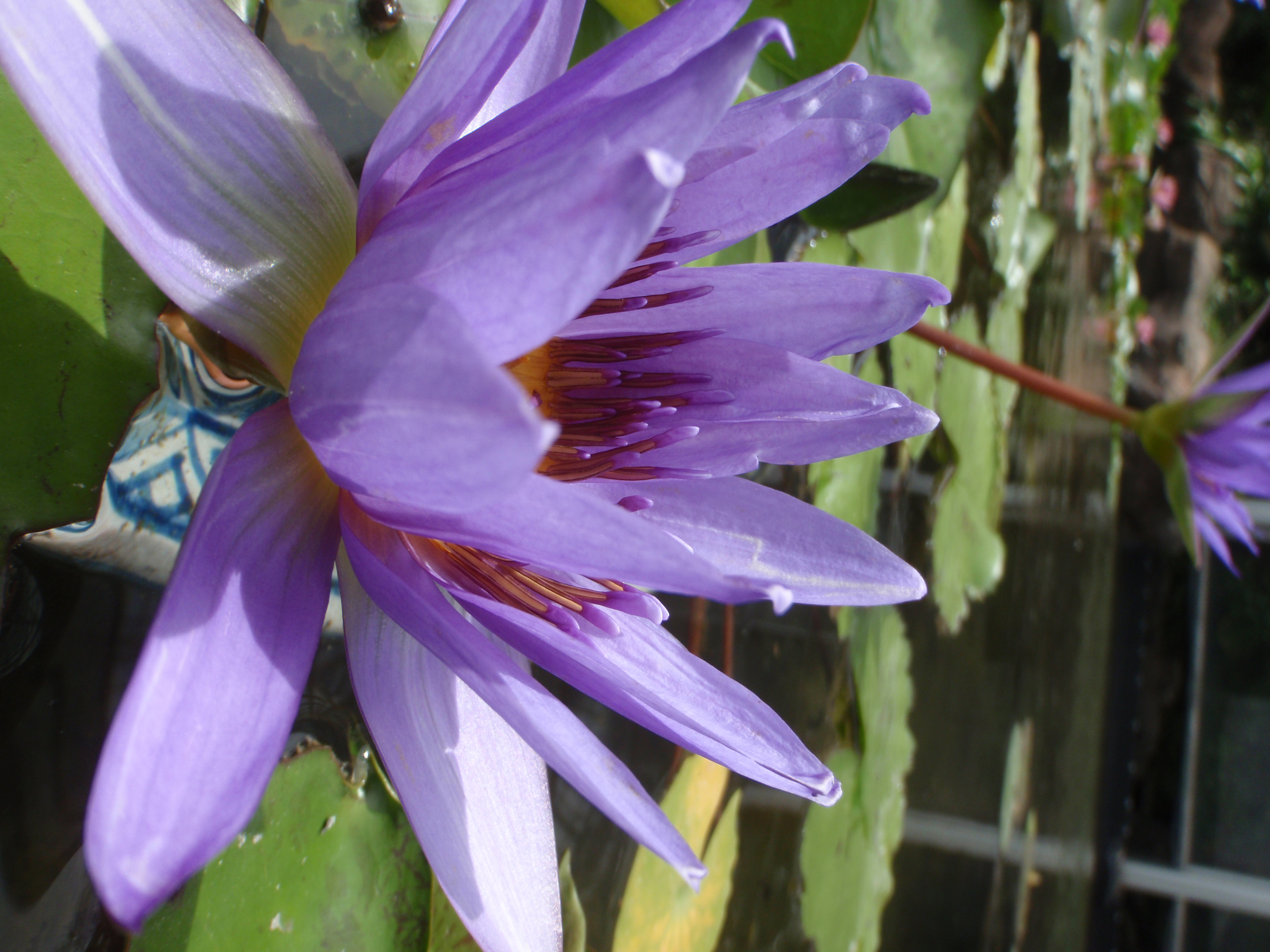 <b>μTOUGH-6010 / 約4.4MB / 2,976×3,968 / 1/400秒 / F4 / 0EV / ISO64 / WB:オート / 5mm</b>