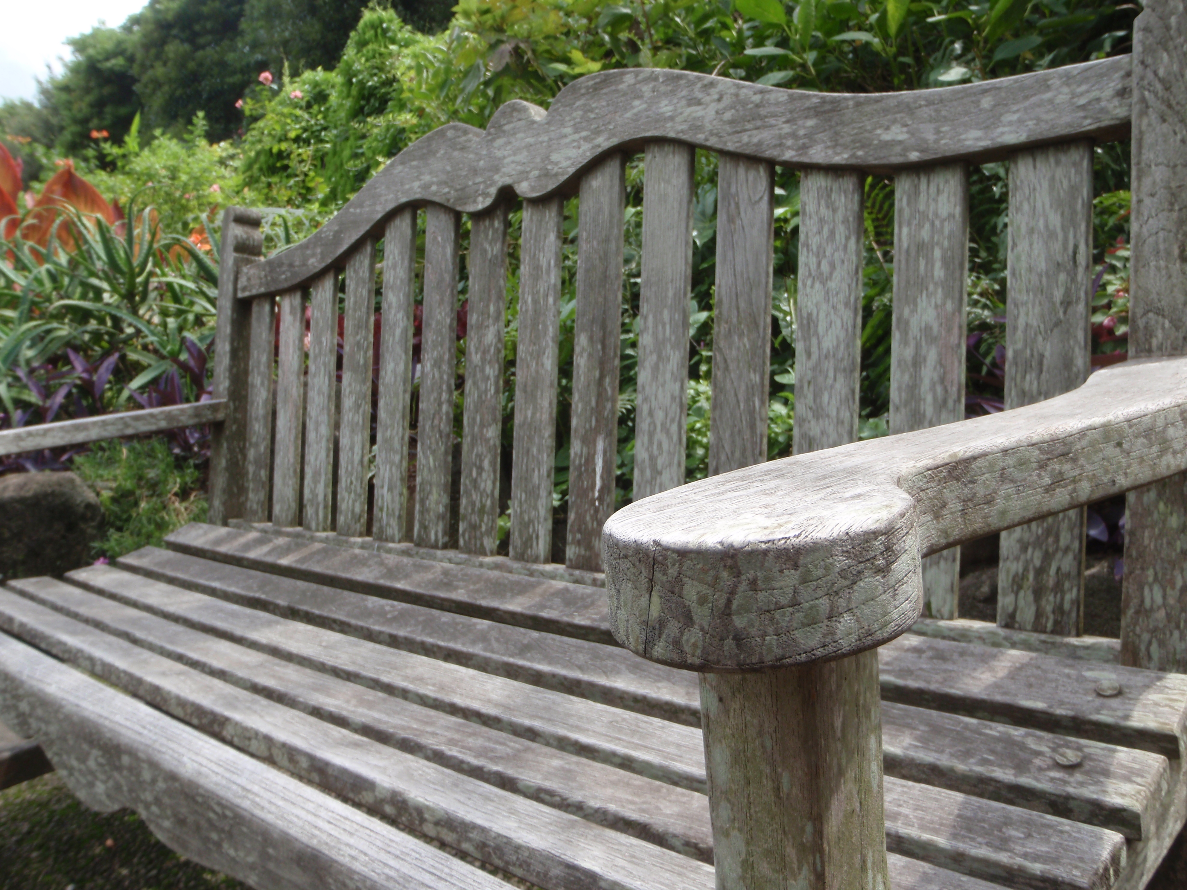 <b>μTOUGH-6010 / 約5.0MB / 3,968×2,976 / 1/160秒 / F4 / 0EV / ISO64 / WB:オート / 5mm</b>