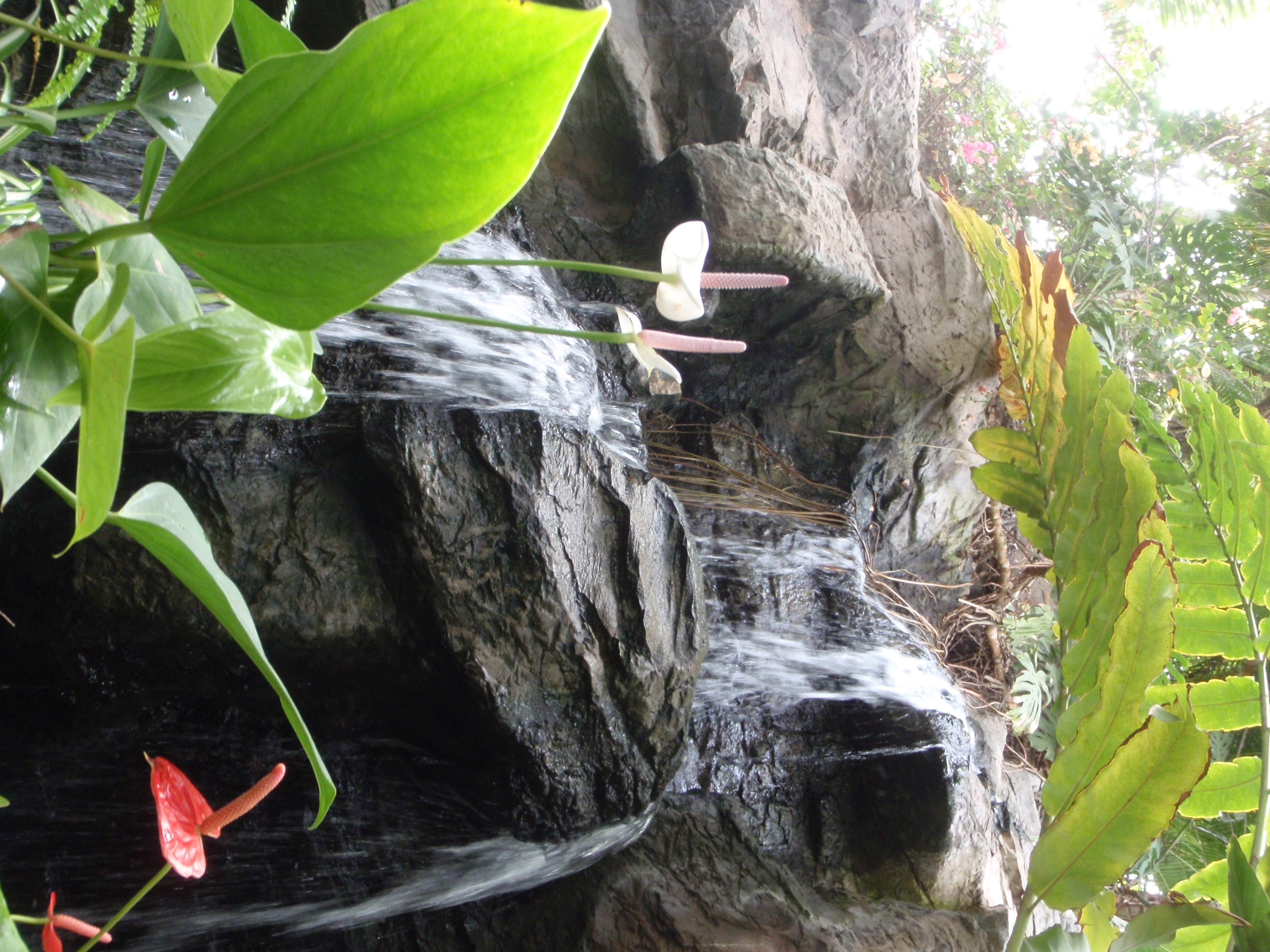 <b>μTOUGH-6010 / 約5.5MB / 2,976×3,968 / 1/30秒 / F3.5 / -0.3EV / ISO200 / WB:オート / 5mm</b>