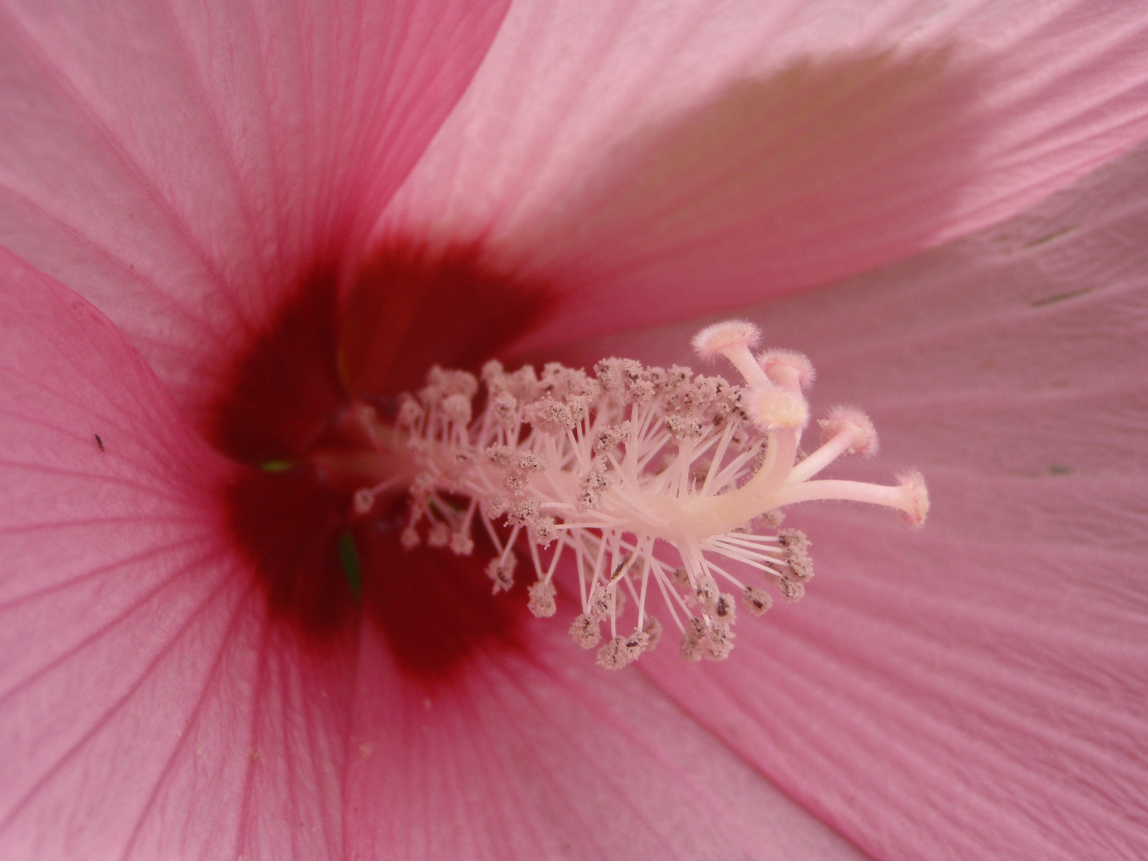 <b>μTOUGH-6010 / 約4.3MB / 3,968×2,976 / 1/250秒 / F4.1 / 0EV / ISO100 / WB:オート / 6.5mm</b>