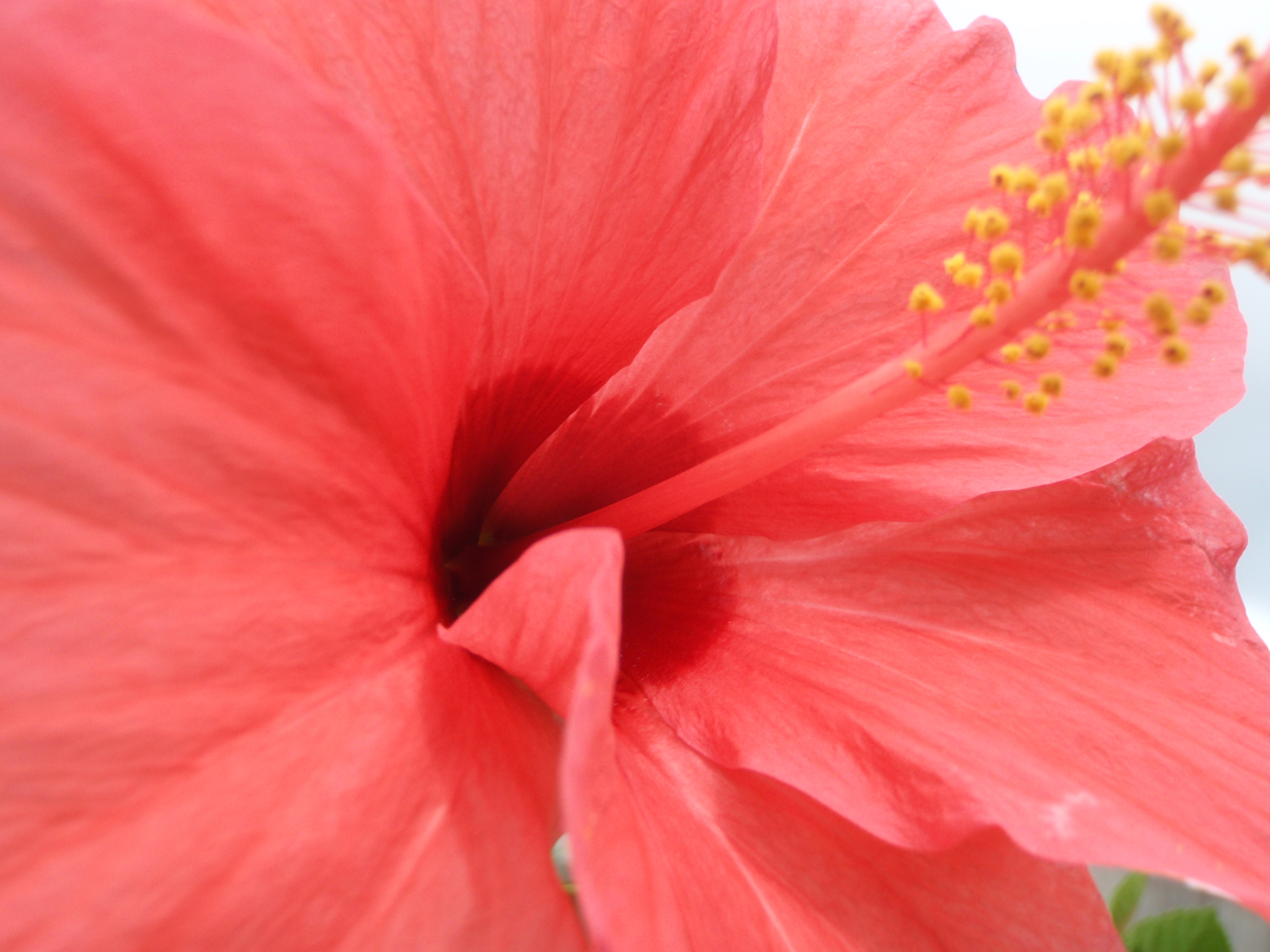 <b>μTOUGH-6010 / 約4.2MB / 3,968×2,976 / 1/80秒 / F5 / +0.7EV / ISO64 / WB:オート / 6.5mm</b>