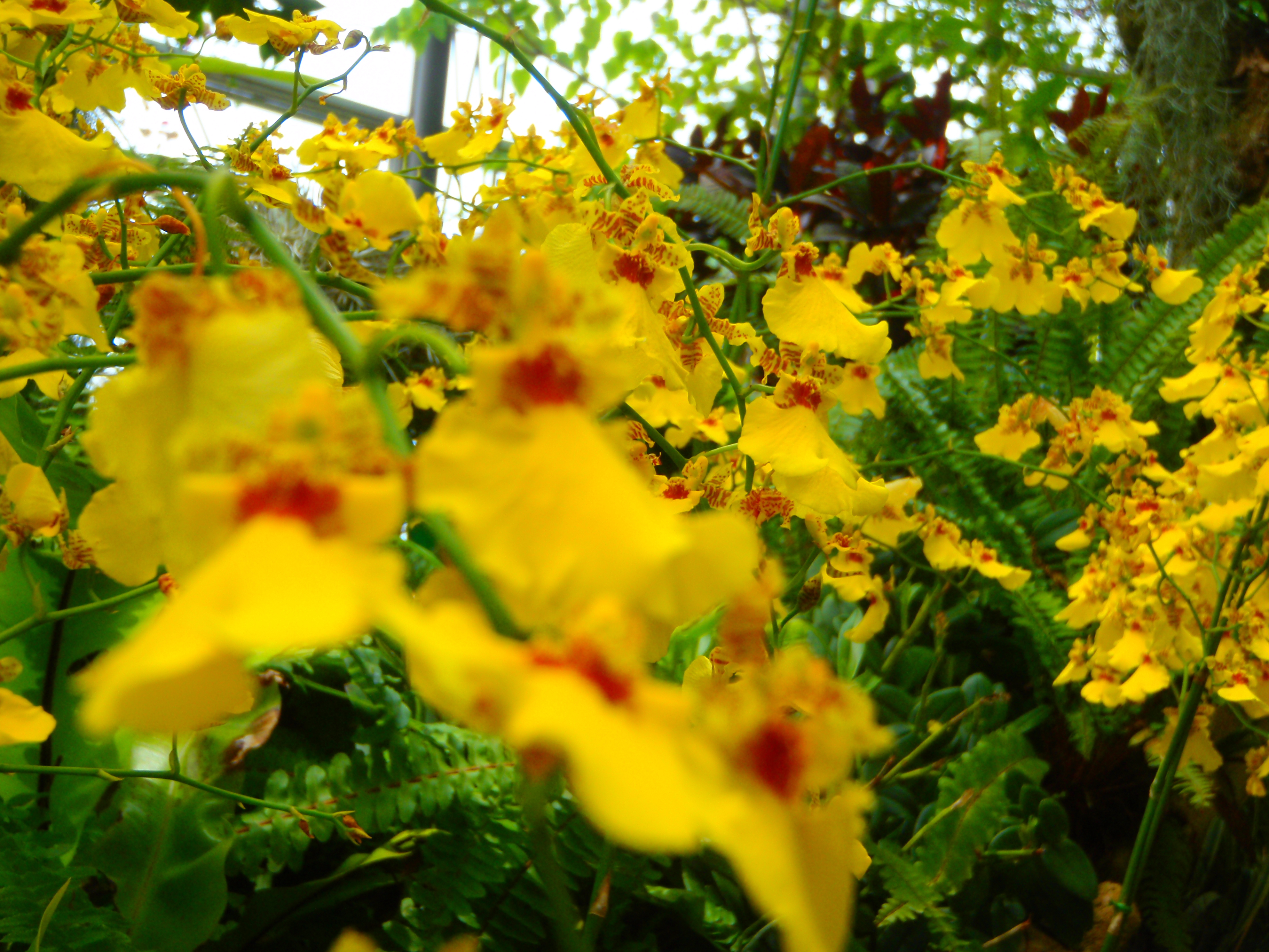 <b>μTOUGH-6010 / 約4.7MB / 3,968×2,976 / 1/100秒 / F4.4 / -0.3EV / ISO64 / WB:オート / 8.9mm</b>