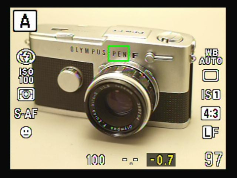 <b>撮影中のライブビュー表示</b>