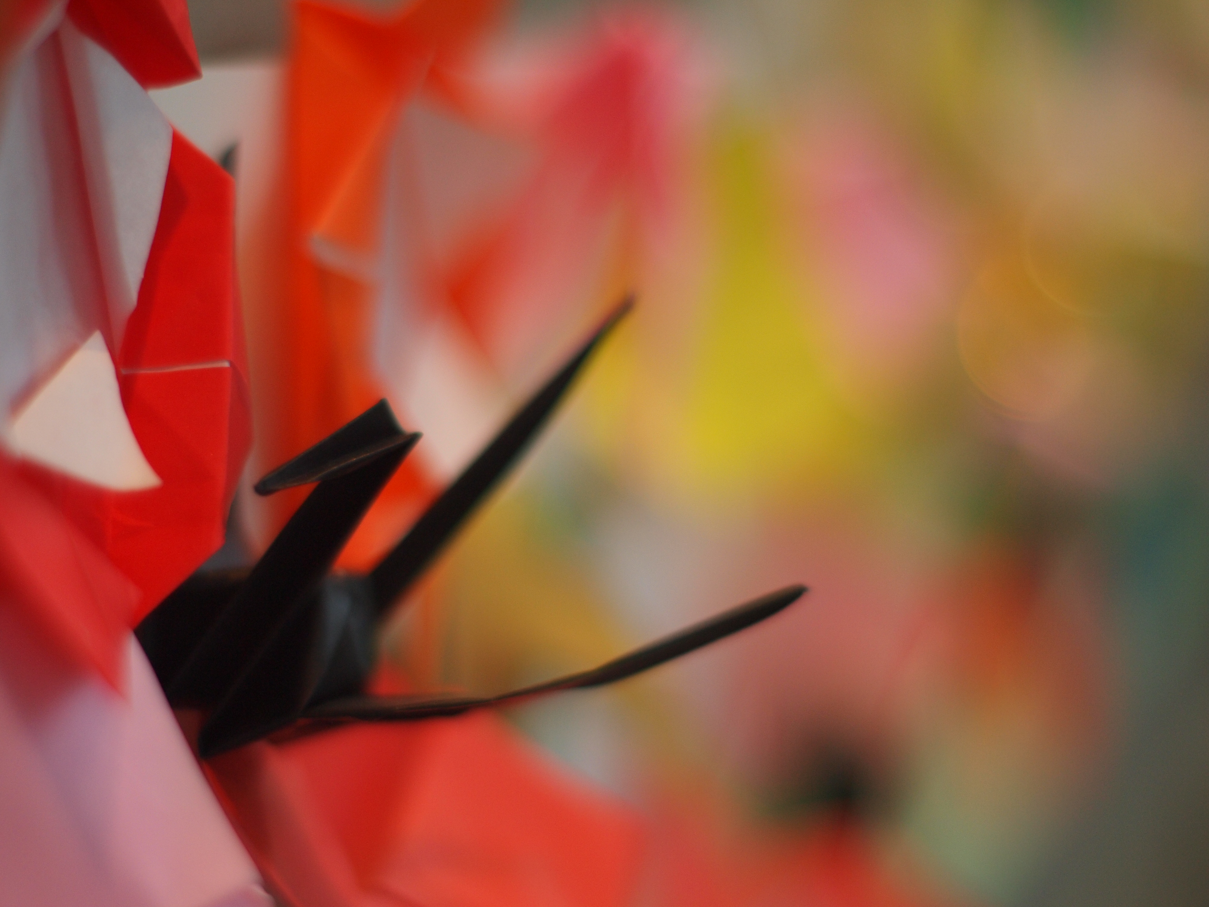 <b>E-P1 / Gズイコー50mm F1.4 / 約5.1MB / 4,032×3,024 / 1/200秒 / F1.4 / 0EV / ISO400 / WB:オート / 仕上がり:ビビッド</b>