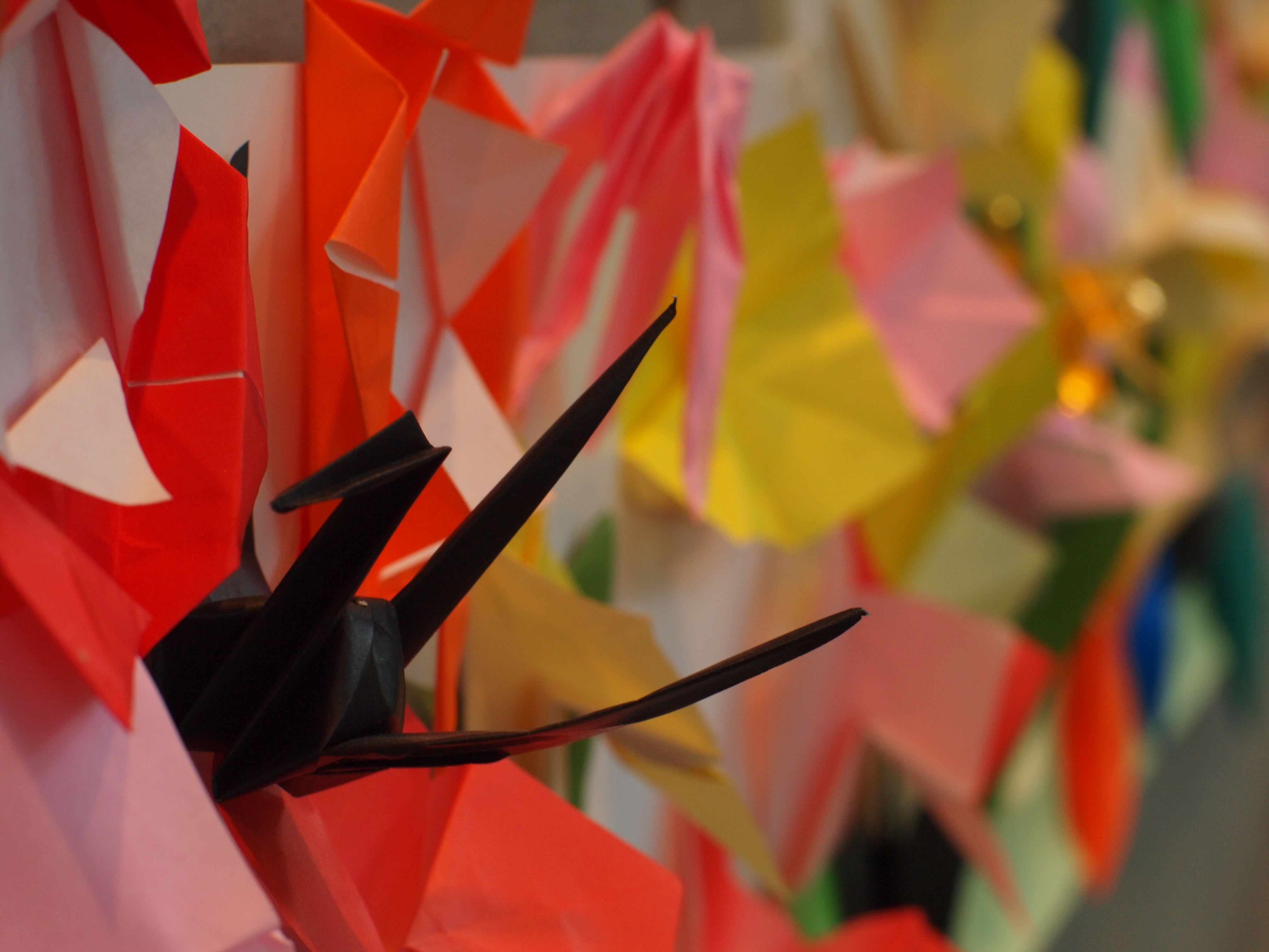 <b>E-P1 / Gズイコー50mm F1.4 / 約5.2MB / 4,032×3,024 / 1/13秒 / F5.6 / 0EV / ISO400 / WB:オート / 仕上がり:ビビッド</b>