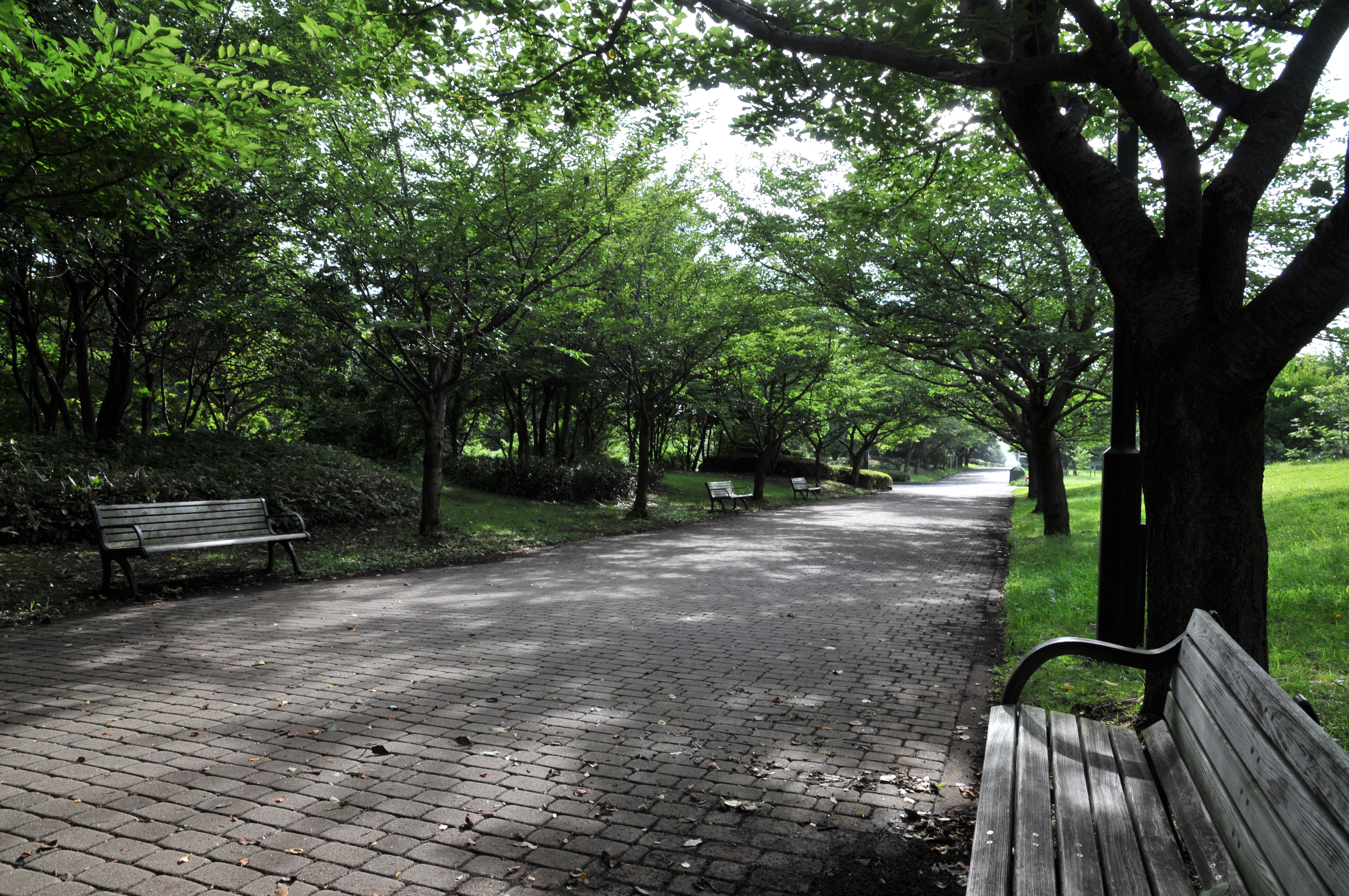 <b>ピクチャーコントロール：スタンダード</b>