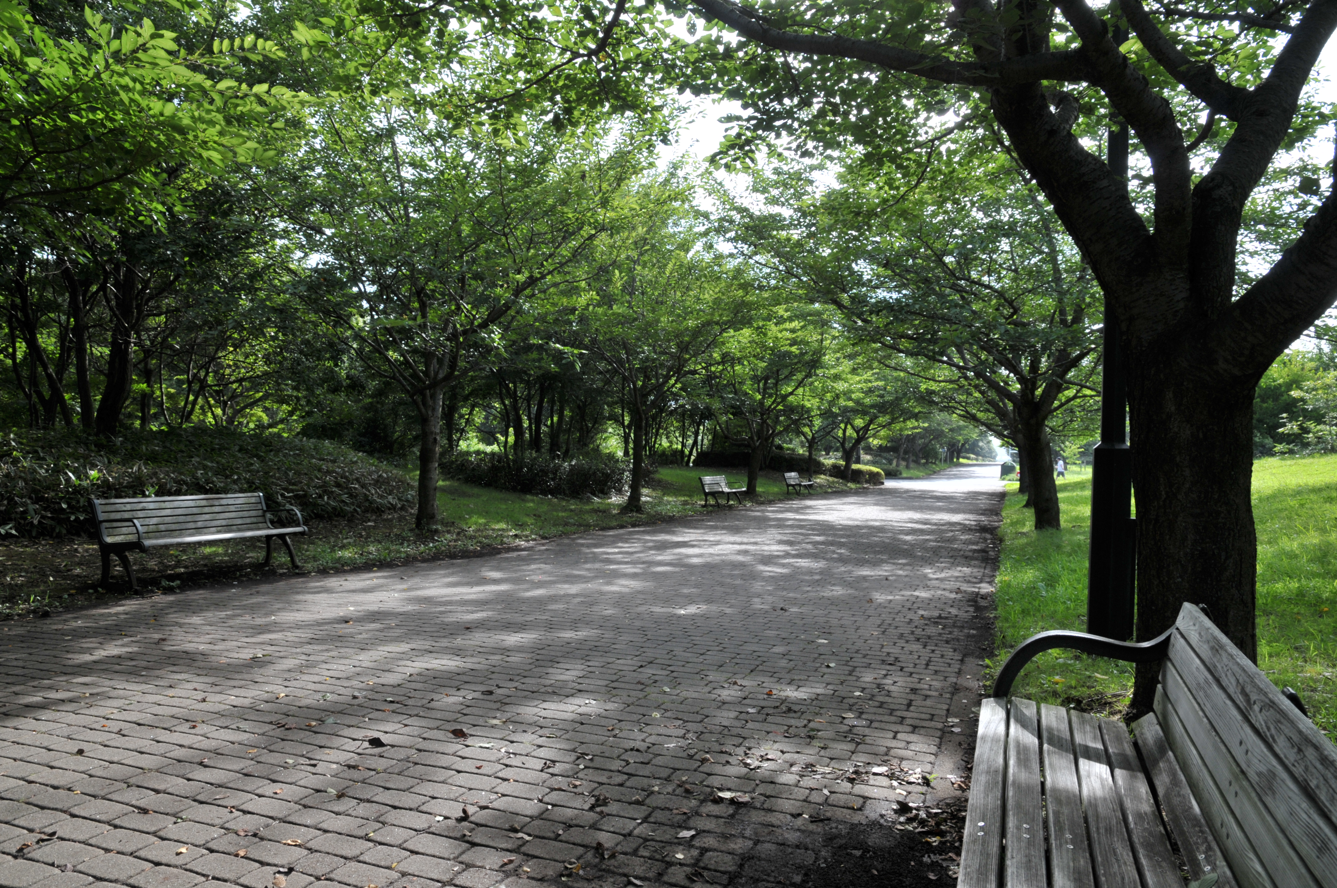 <b>ピクチャーコントロール：ニュートラル</b>