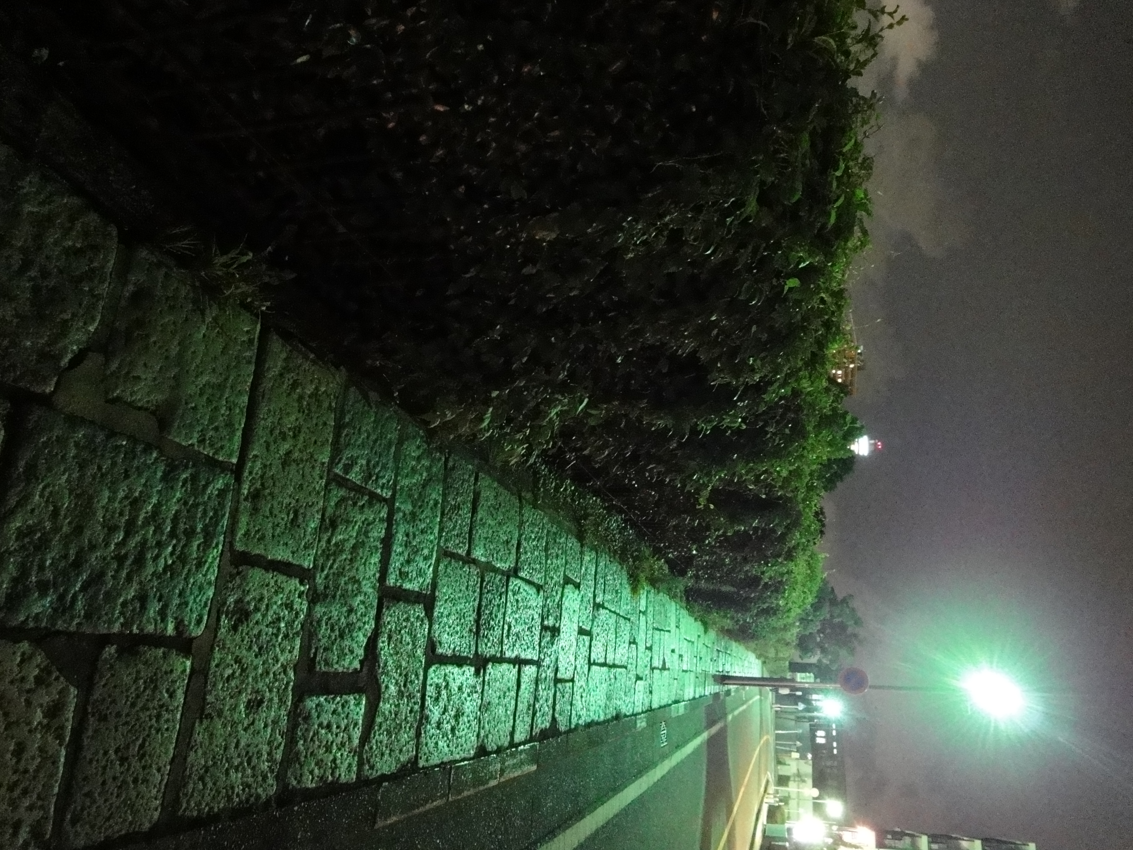 <b>DSC-WX1 / 約4.3MB / 2,736×3,648 / 1/10秒 / F2.4 / 0EV / ISO3200 / WB:オート / 4.2mm</b>