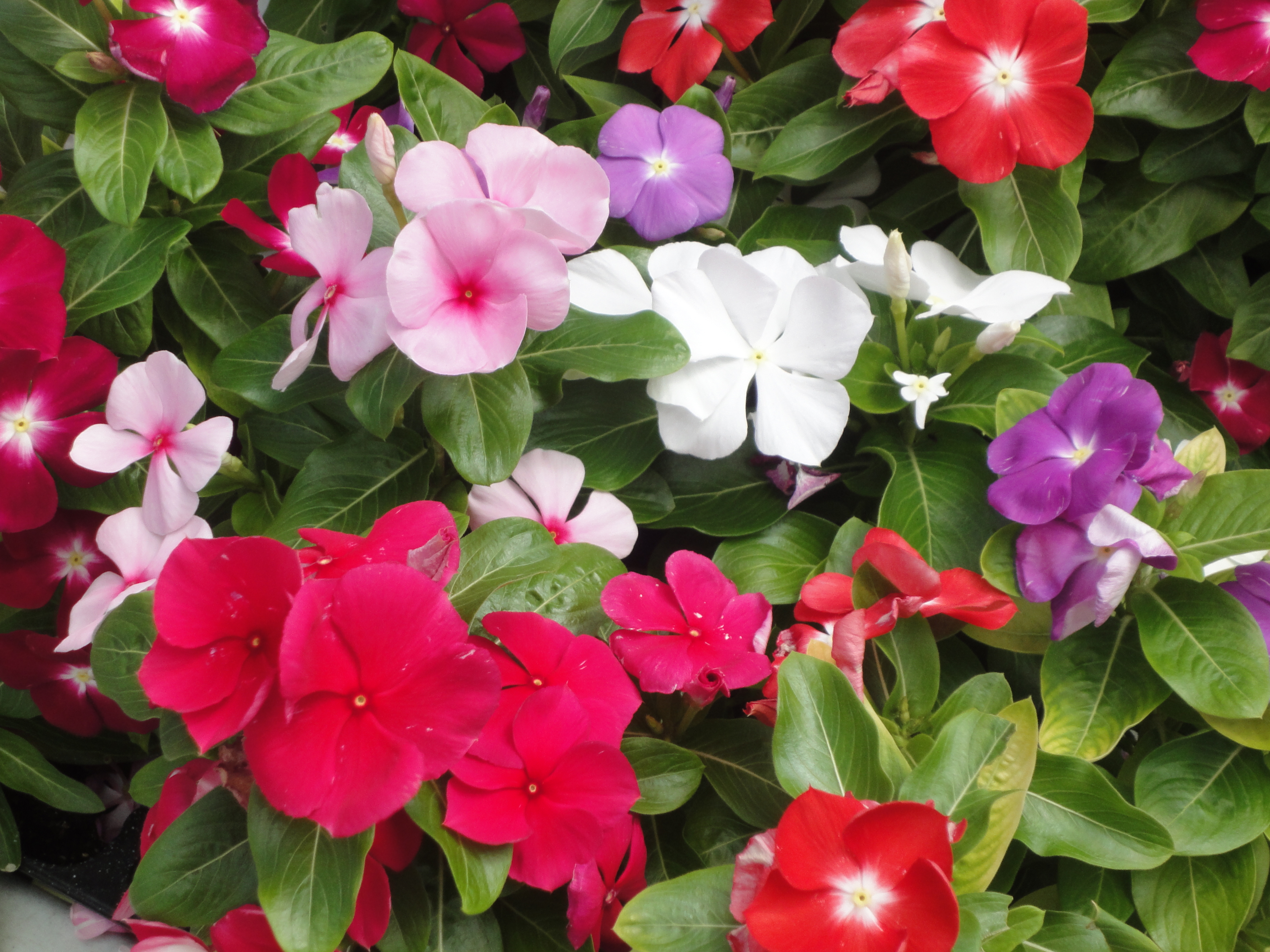 <b>DSC-WX1 / 約3.9MB / 3,648×2,736 / 1/400秒 / F5.9 / 0EV / ISO160 / WB:オート / 21.2mm</b>