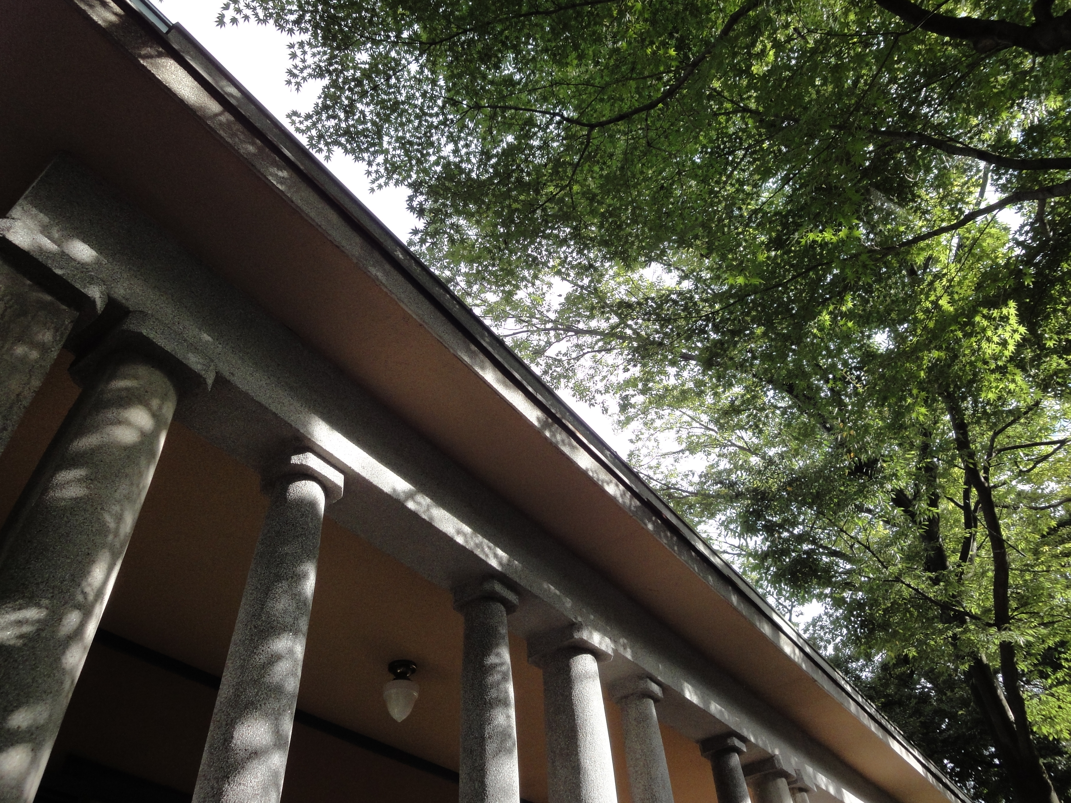 <b>DSC-WX1 / 約4.3MB / 3,648×2,736 / 1/100秒 / F7.1 / 0EV / ISO160 / WB:オート / 4.2mm</b>