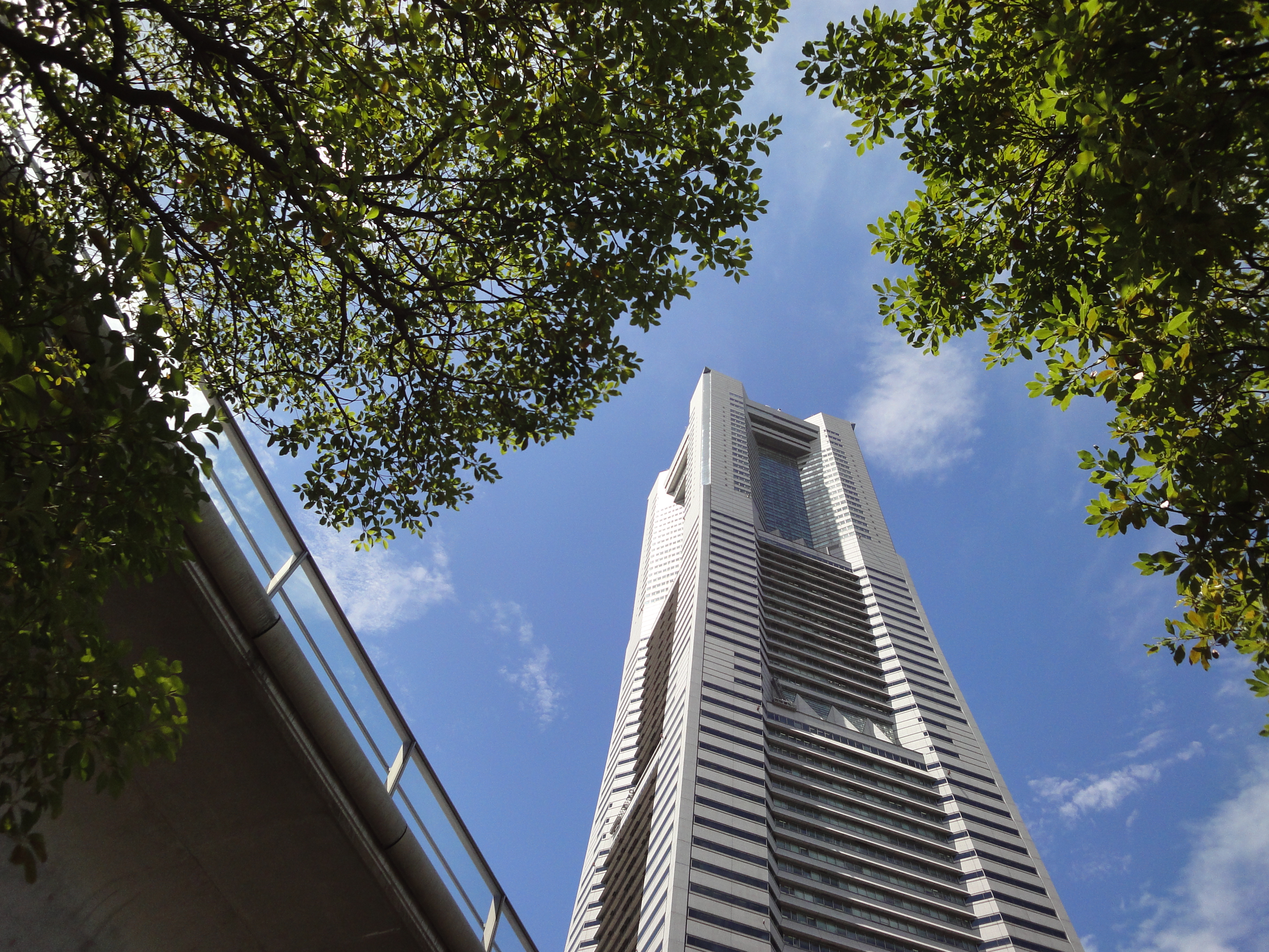 <b>DSC-WX1 / 約4.3MB / 3,648×2,736 / 1/400秒 / F7.1 / 0EV / ISO160 / WB:オート / 4.2mm</b>