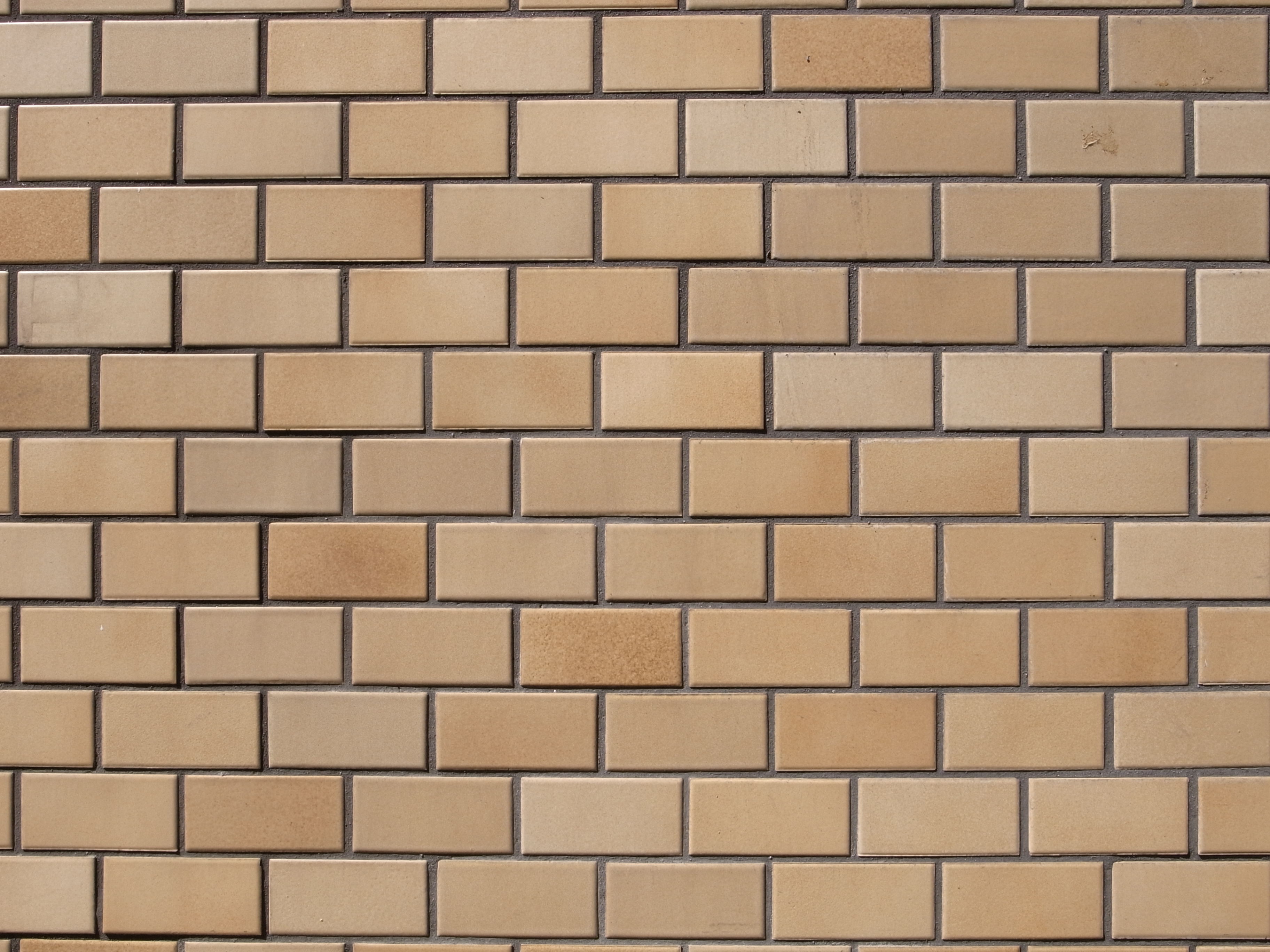 <b>GR DIGITAL III / 約3.6MB / 3,648×2,736 / 1/250秒 / F8 / +0.3EV / ISO100 / WB:オート / 6mm</b>