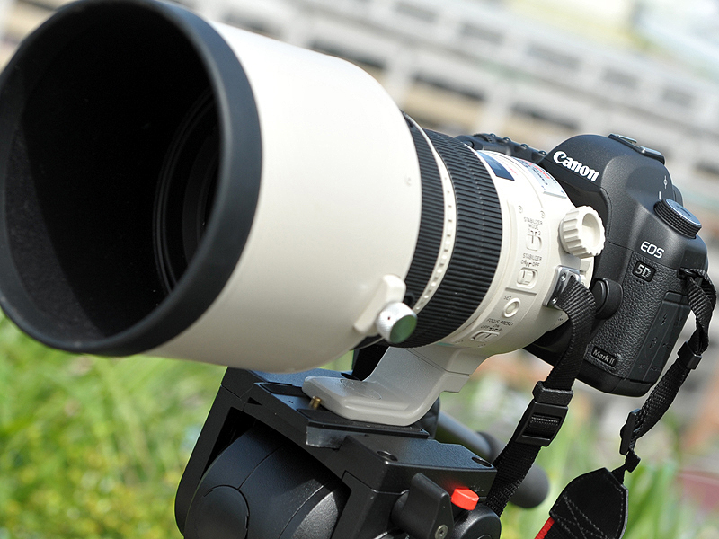 <b>EF 200mm F2 L IS USMを装着したEOS 5D Mark II</b>