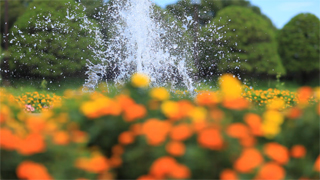 <a href="/video/dcw/docs/309/220/04.mov"><b>マニュアルモード<br>1,920×1,080 / 30fps / 73MB /1/4,000秒 / F2 / ISO100</b></a>