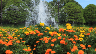 <a href="/video/dcw/docs/309/220/05.mov"><b>プログラムモード<br>1,920×1,080 / 30fps / 73MB /1/80秒 / F16 / ISO200</b></a>