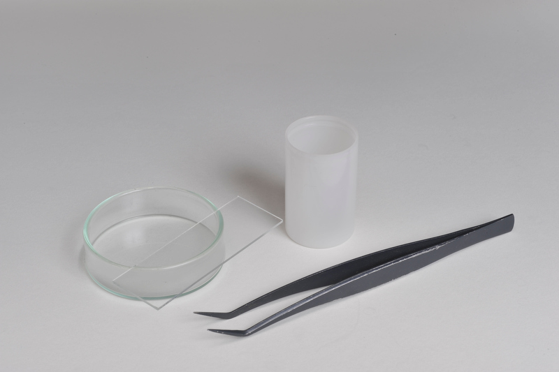 <b>シャーレやピンセットなどがあると便利。フィルムケースは動き回る虫などを観察するのに使用する</b>