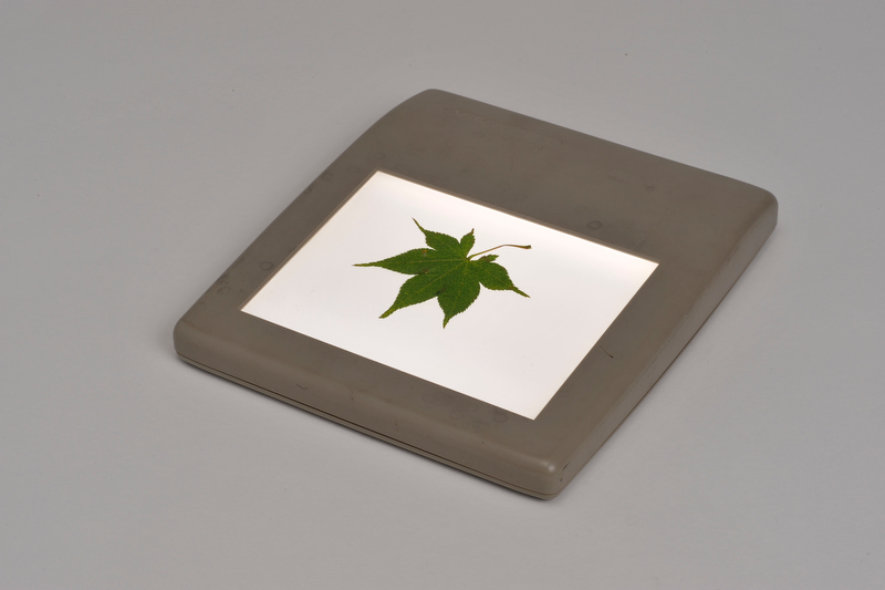 <b>ライトボックスなどがあれば透過光での撮影も可能だ</b>