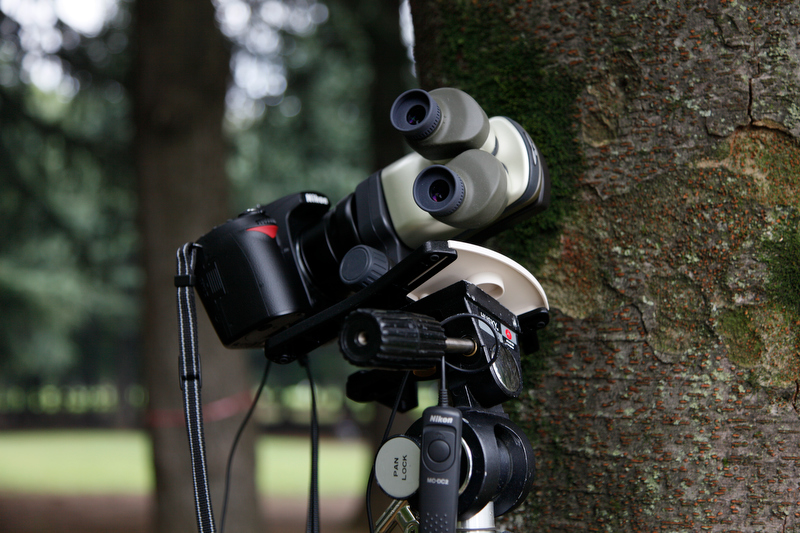 <b>木の幹などは三脚を使って固定して撮影するとよい</b>