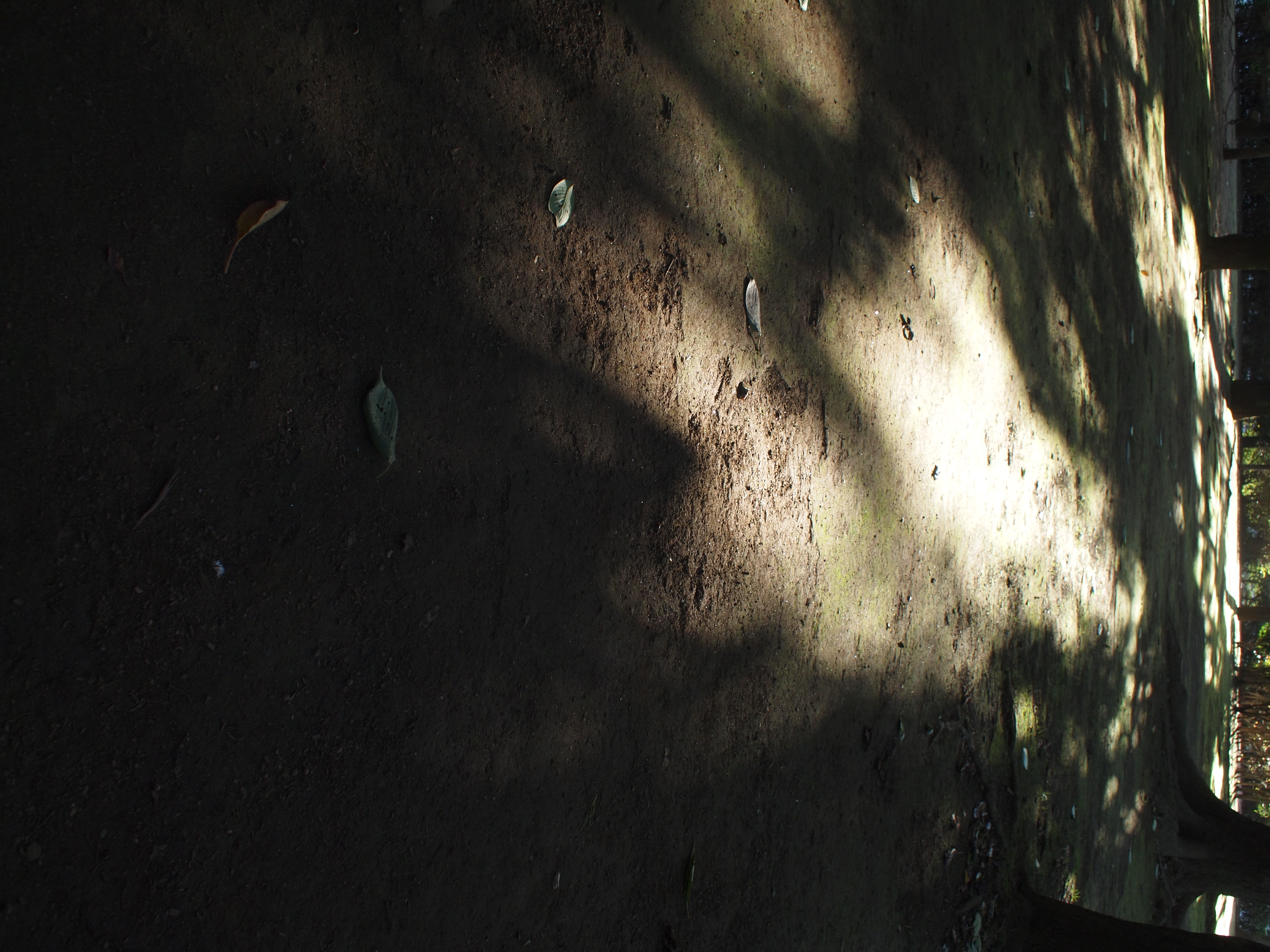 <b>E-P1 / M.ZUIKO DIGITAL 17mm F2.8 / 約7.2MB / 3,024×4,032 / 1/80秒 / F5.6 / -0.7EV / ISO200 / WB:オート / 17mm</b>