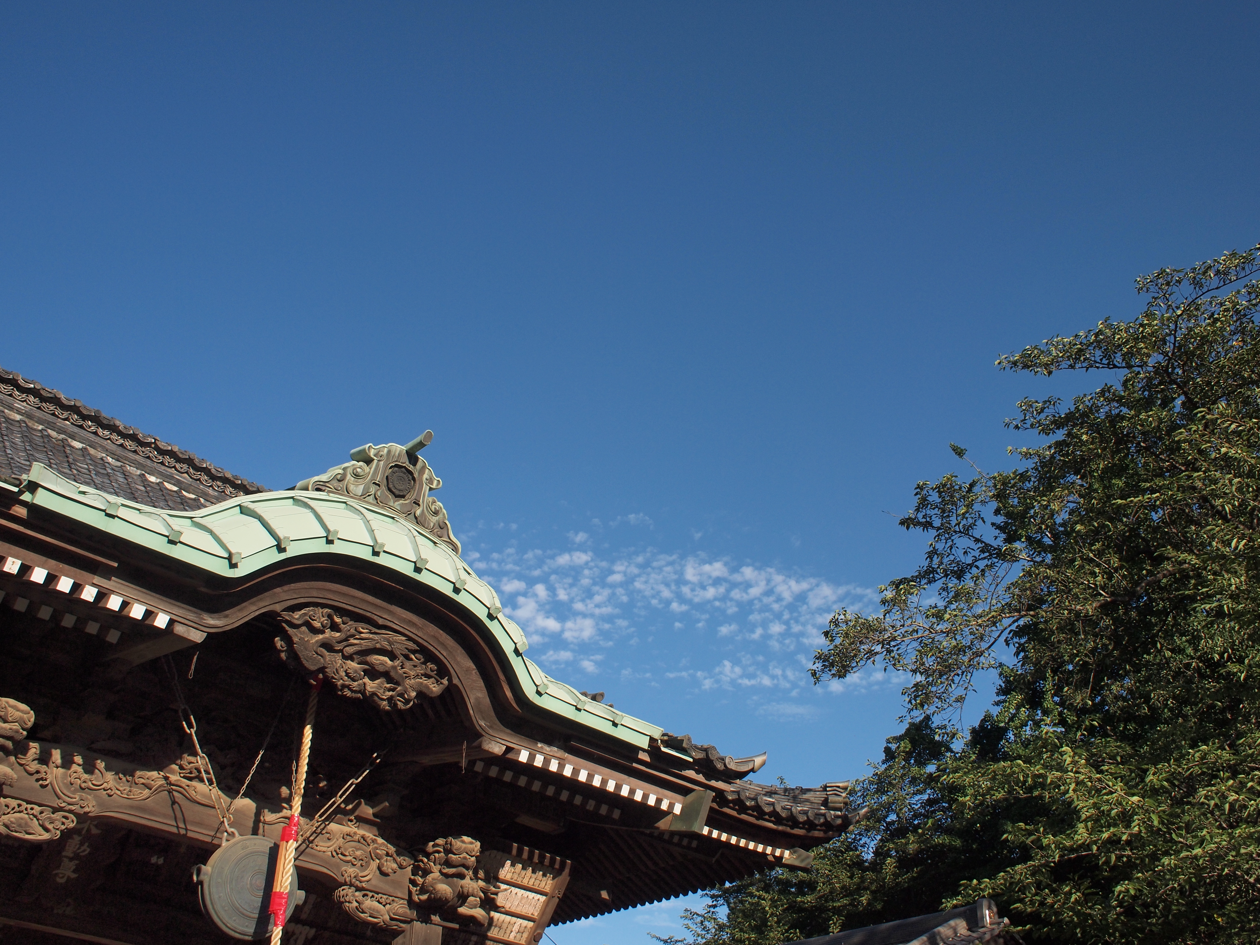 <b>E-P1 / M.ZUIKO DIGITAL 17mm F2.8 / 約8.1MB / 4,032×3,024 / 1/800秒 / F5.6 / 0EV / ISO200 / WB:オート / 17mm</b>