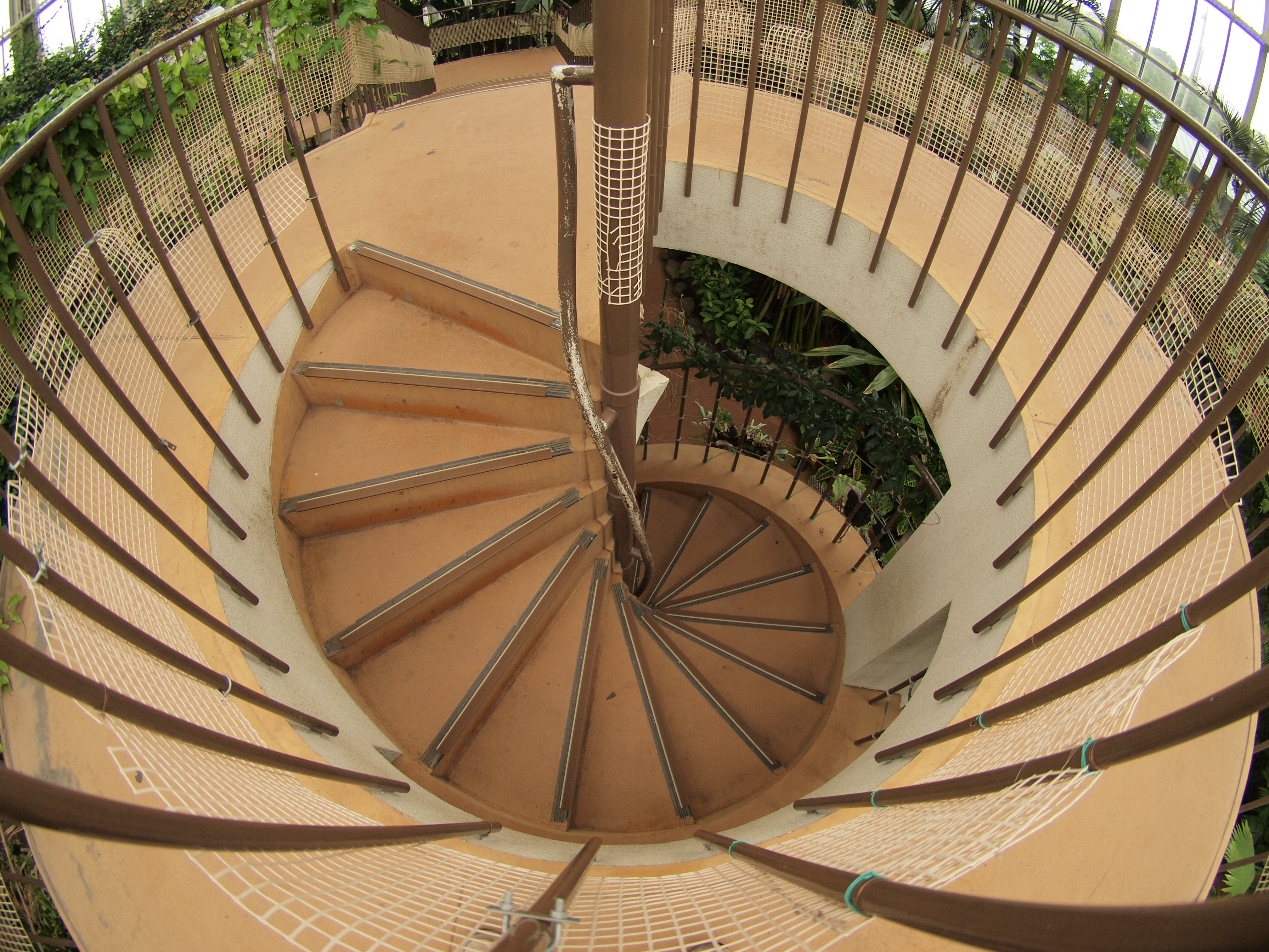 <b>E-P1 / ZUIKO DIGITAL ED 8mm F3.5 Fisheye / 約6.2MB / 4,032×3,024 / 1/250秒 / F3.5 / 0EV / ISO200 / WB:曇天 / 8mm</b>