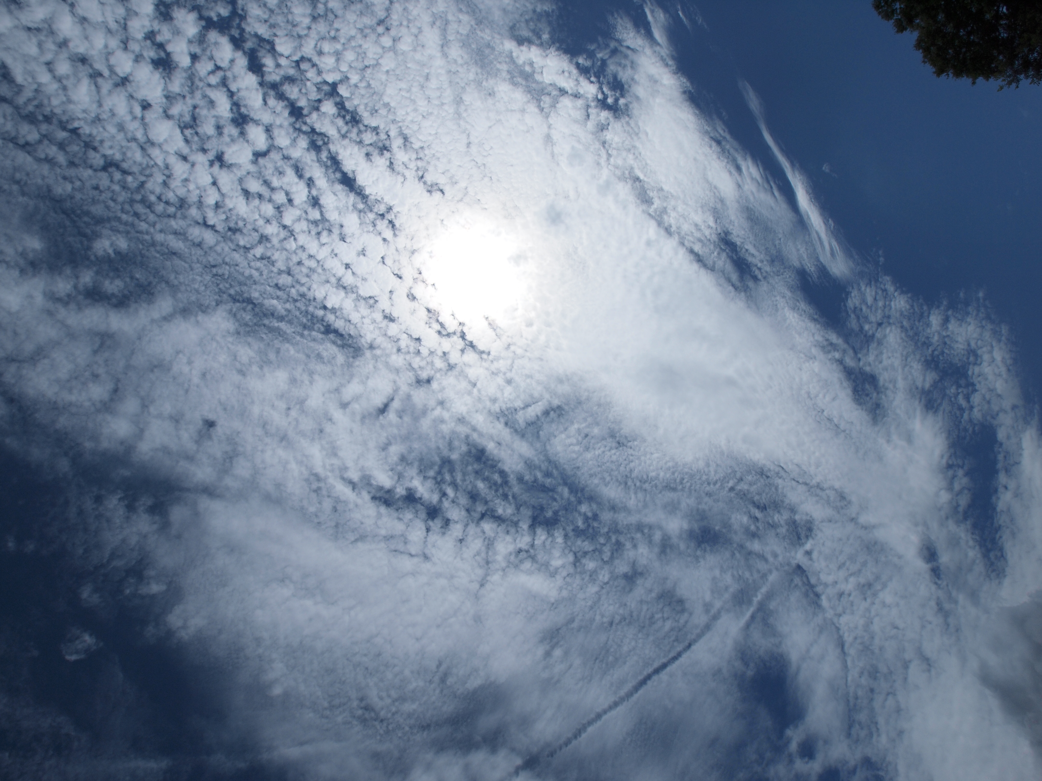 <b>E-P1 / ZUIKO DIGITAL ED 9-18mm F4-5.6 / 約5.0MB / 4,032×3,024 / 1/1,600秒 / F11 / +0.3EV / ISO200 / WB:晴天 / 9mm</b>