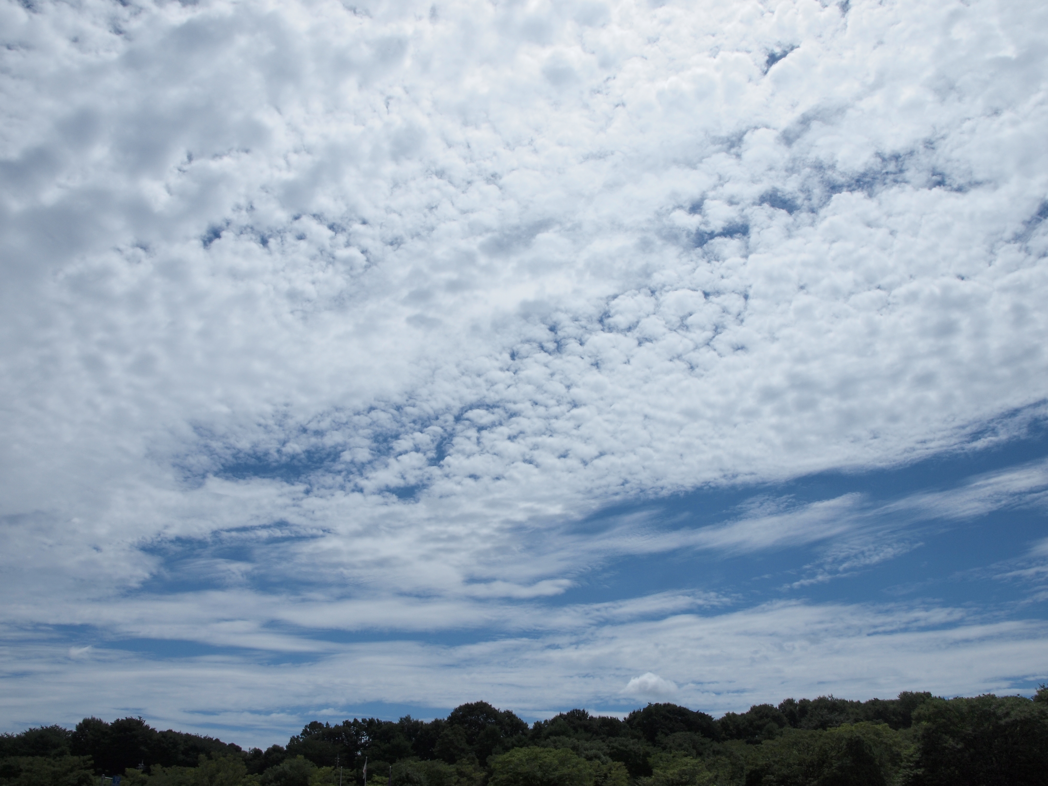 <b>E-P1 / ZUIKO DIGITAL ED 14-42mm F3.5-5.6 / 約4.3MB / 4,032×3,024 / 1/1,000秒 / F11 / +0.7EV / ISO200 / WB:晴天 / 14mm</b>