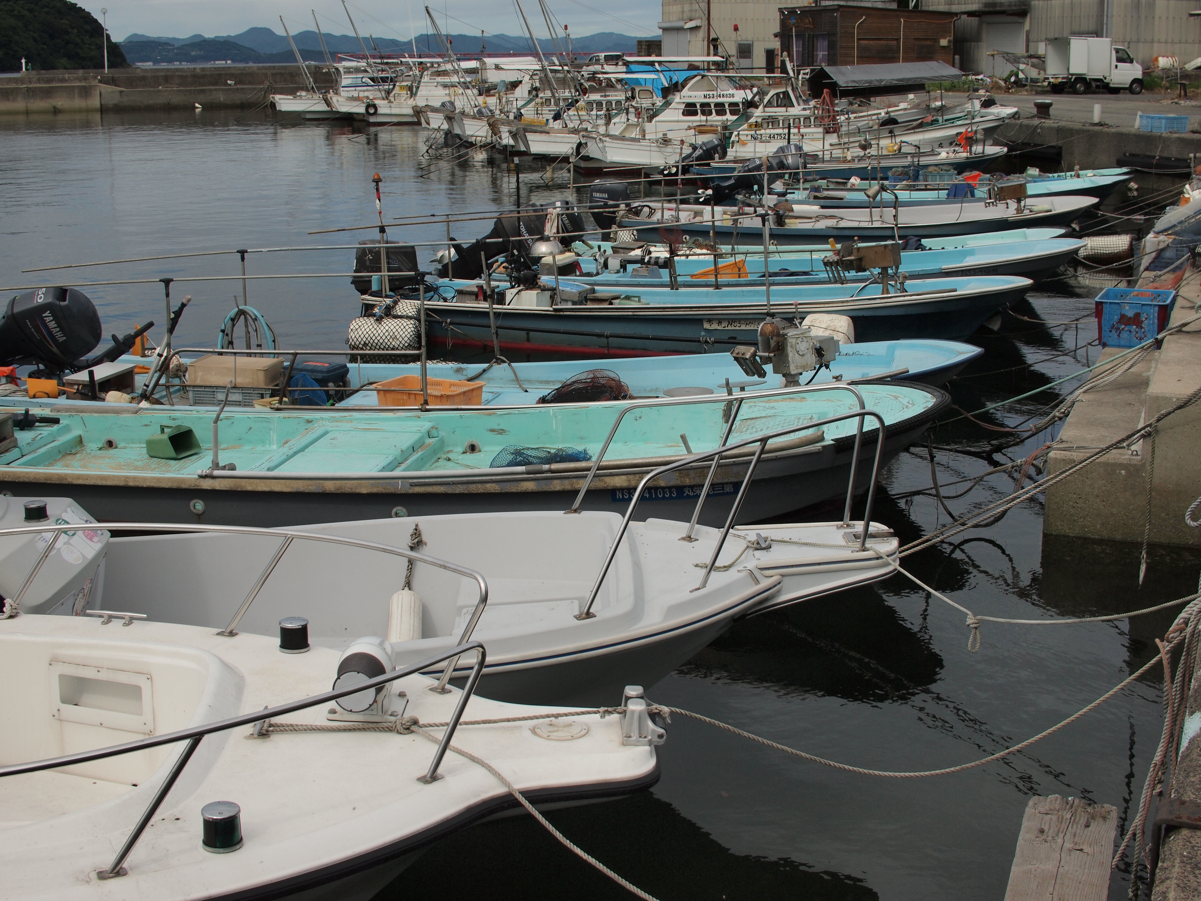 <b>E-P1 / ZUIKO DIGITAL 25mm F2.8 / 約5.5MB / 4,032×3,024 / 1/640秒 / F8 / 0EV / ISO200 / WB:曇天 / 25mm</b>