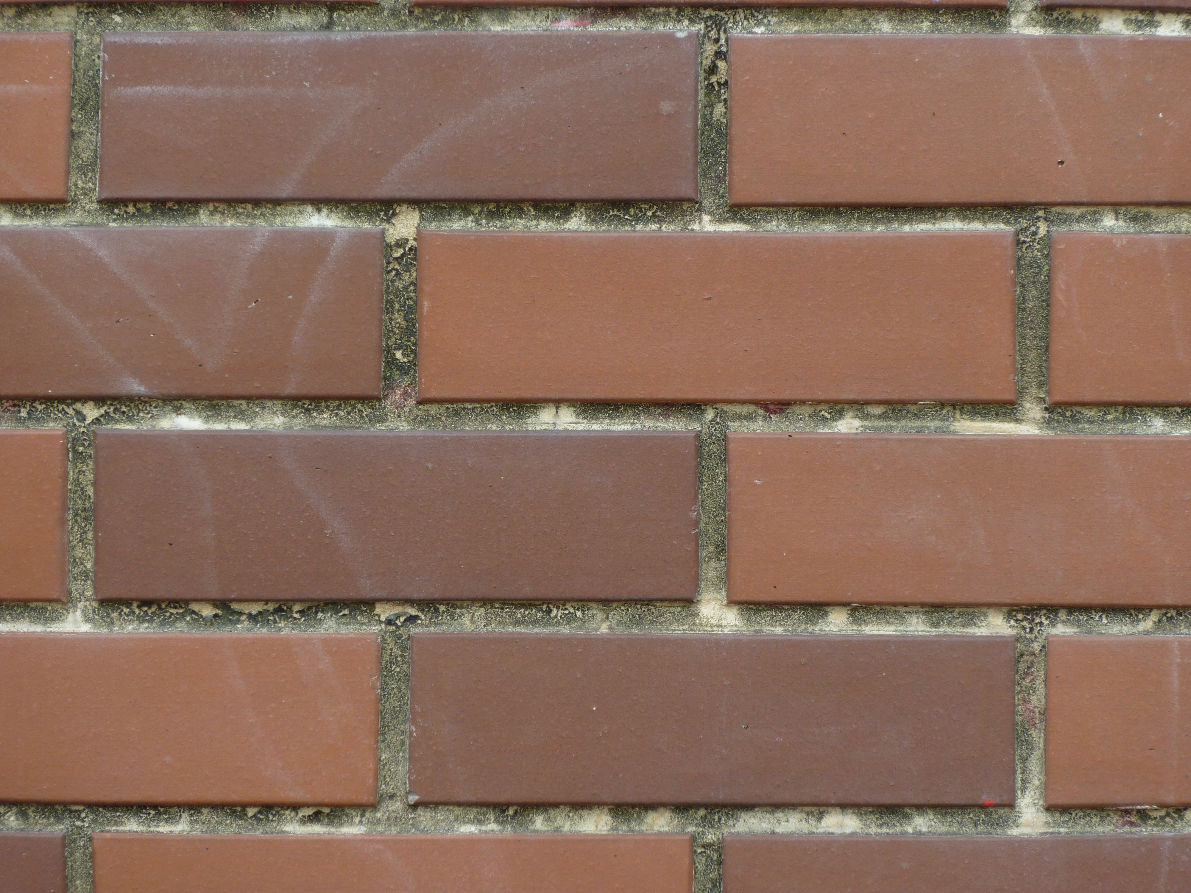 <b>望遠端<br>DMC-ZX1 / 約5.0MB / 4,000×3,000 / 1/4秒 / F5.9 / -0.3EV / ISO80 / WB:オート / 36mm</b>