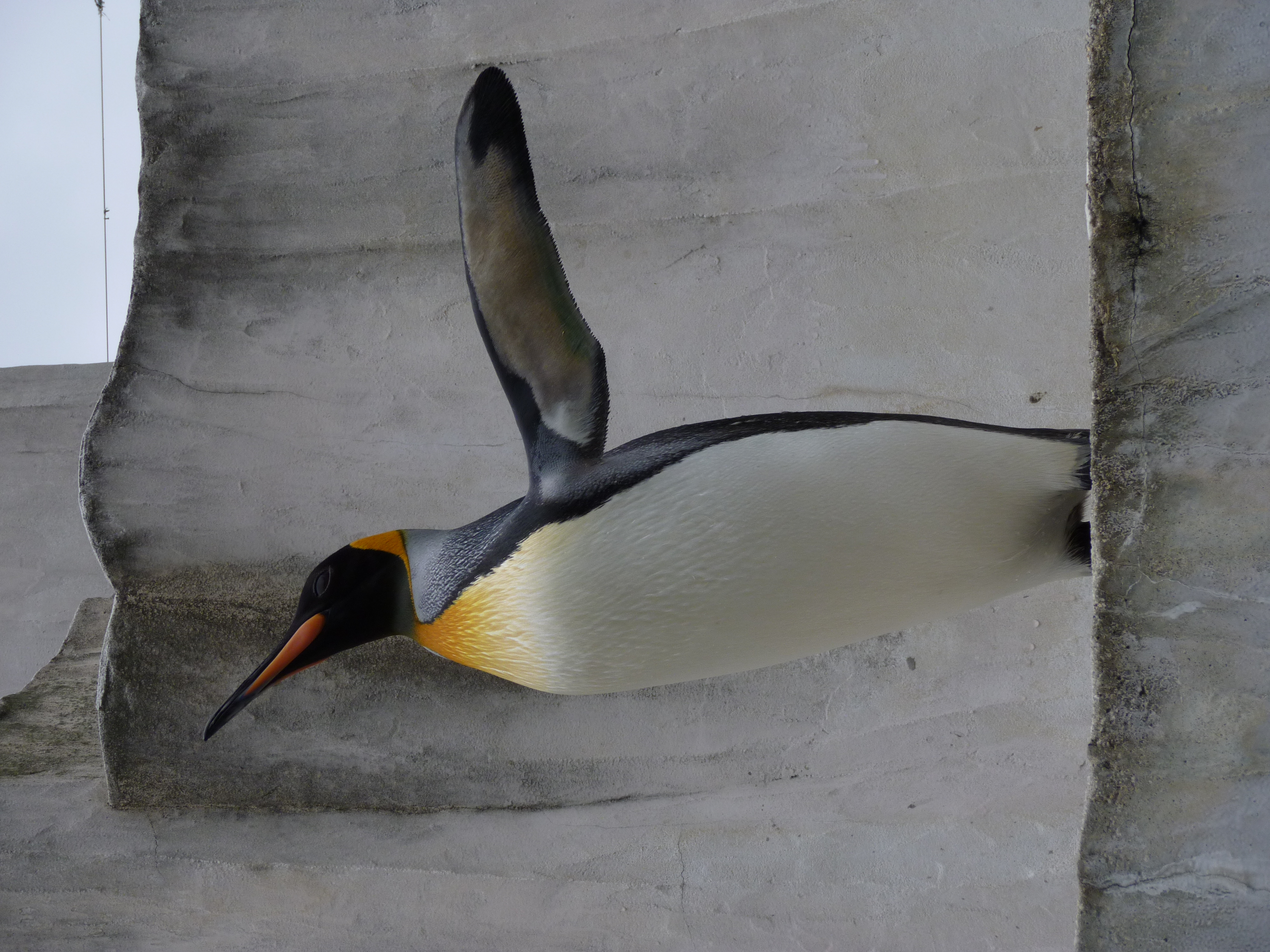 <b>DMC-ZX1 / 約5.0MB / 3,000×4,000 / 1/250秒 / F5.1 / -0.3EV / ISO100 / WB:オート / 15.4mm</b>