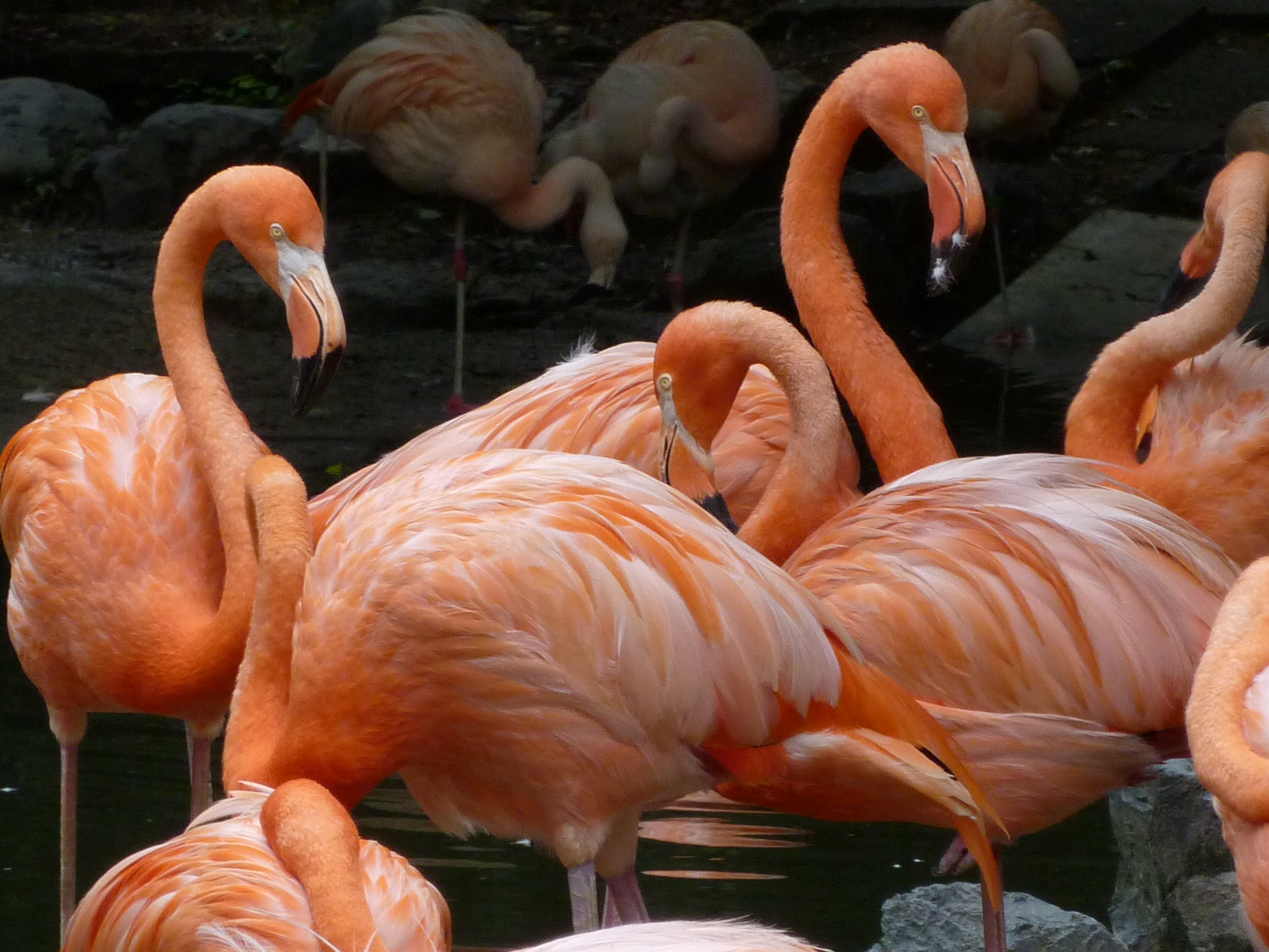 <b>DMC-ZX1 / 約1.3MB / 2,048×1,536 / 1/100秒 / F5.9 / 0EV / ISO200 / WB:オート / 36mm</b>