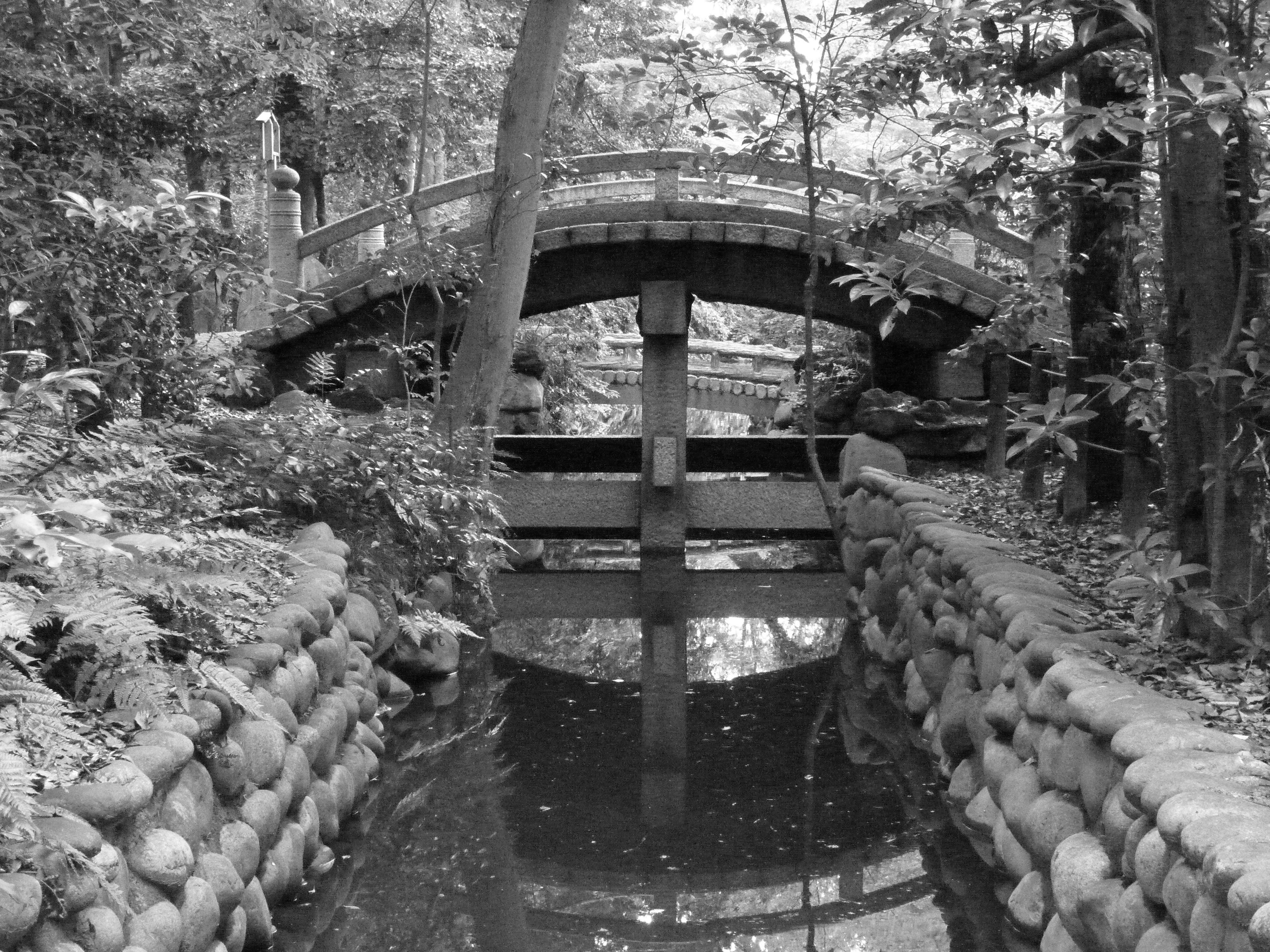 <b>DMC-ZX1 / 約4.7MB / 4,000×3,000 / 1/8秒 / F4.8 / 0EV / ISO1600 / WB:オート / 12.7mm</b>