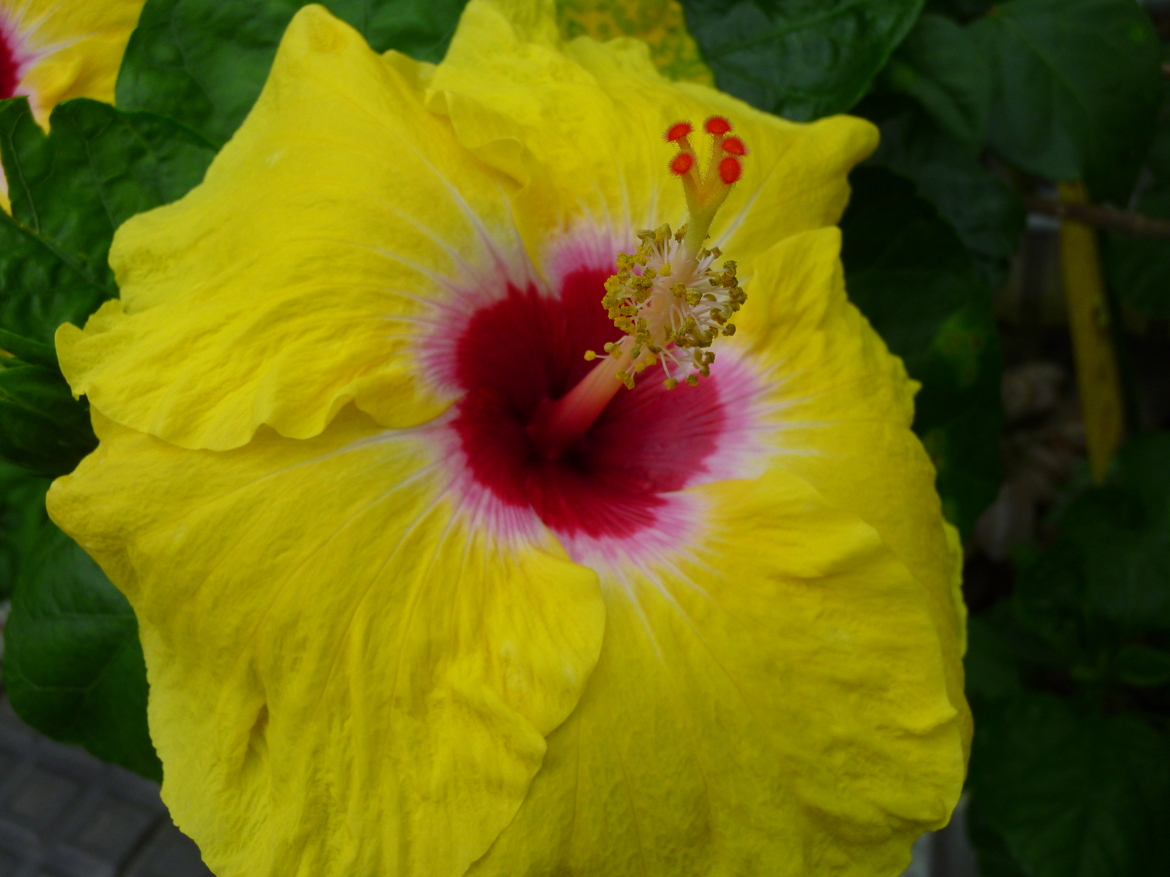 <b>DMC-ZX1 / 約6.0MB / 4,000×3,000 / 1/40秒 / F3.8 / -0.3EV / ISO100 / WB:オート / 6.3mm</b>