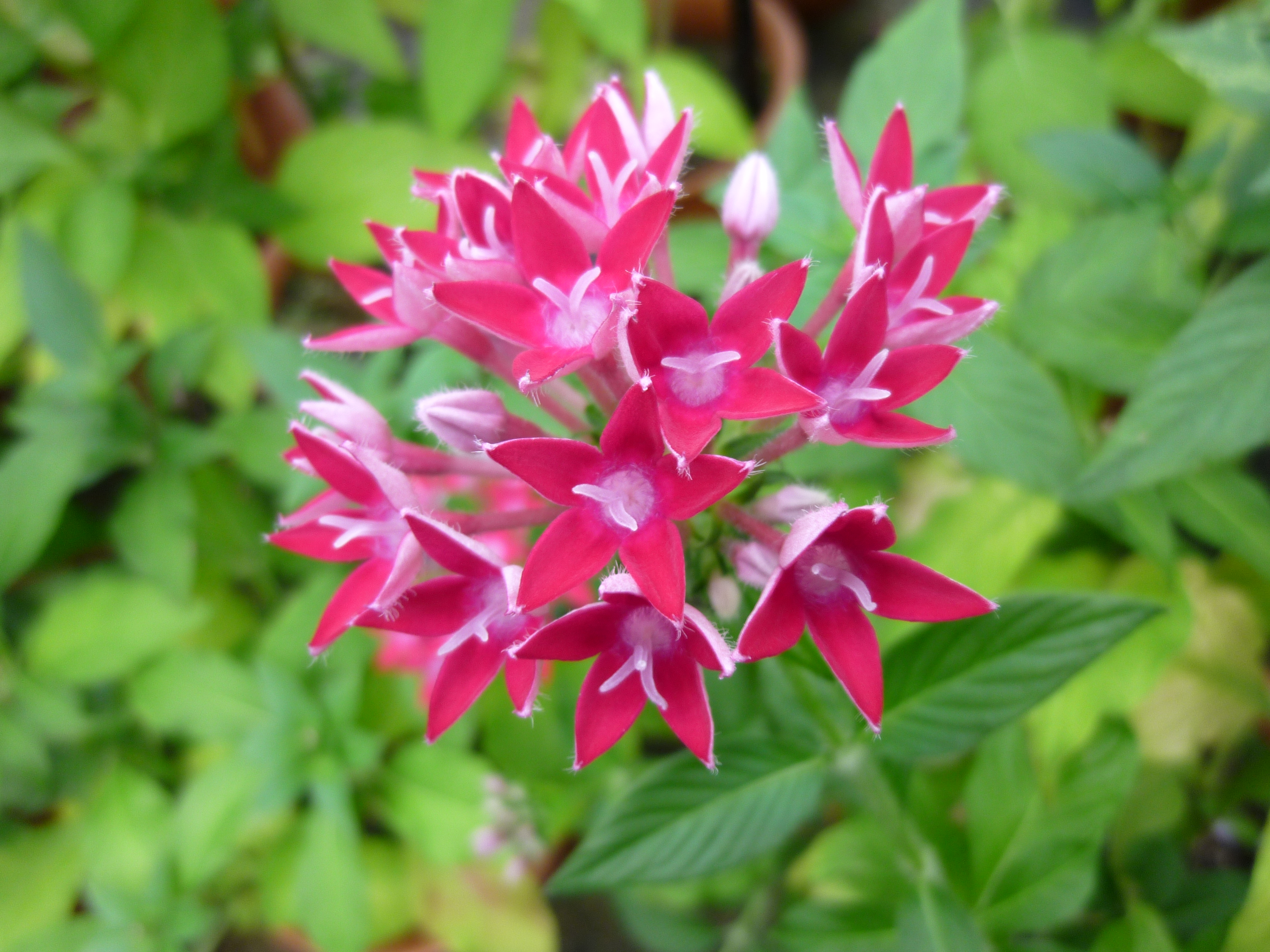 <b>DMC-ZX1 / 約5.5MB / 4,000×3,000 / 1/5秒 / F3.3 / 0EV / ISO100 / WB:オート / 4.5mm</b>