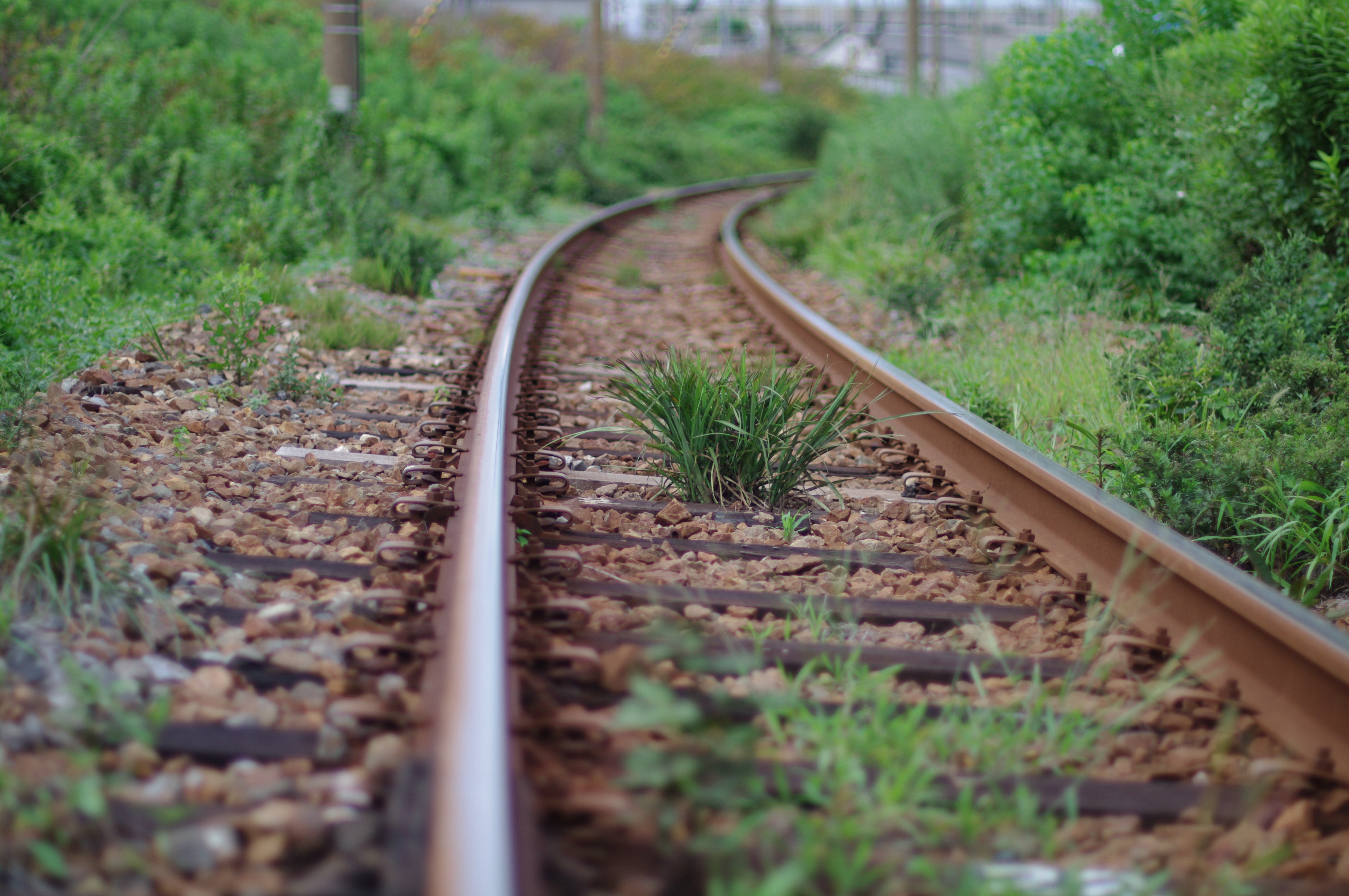 <b>K-7 / DA★ 55mm F1.4 SDM / 4,672×3,104 / 1/1,000秒 / F1.4 / 0EV / ISO100 / 絞り優先AE / WB:オート / 55mm / カスタムイメージ：雅</b>