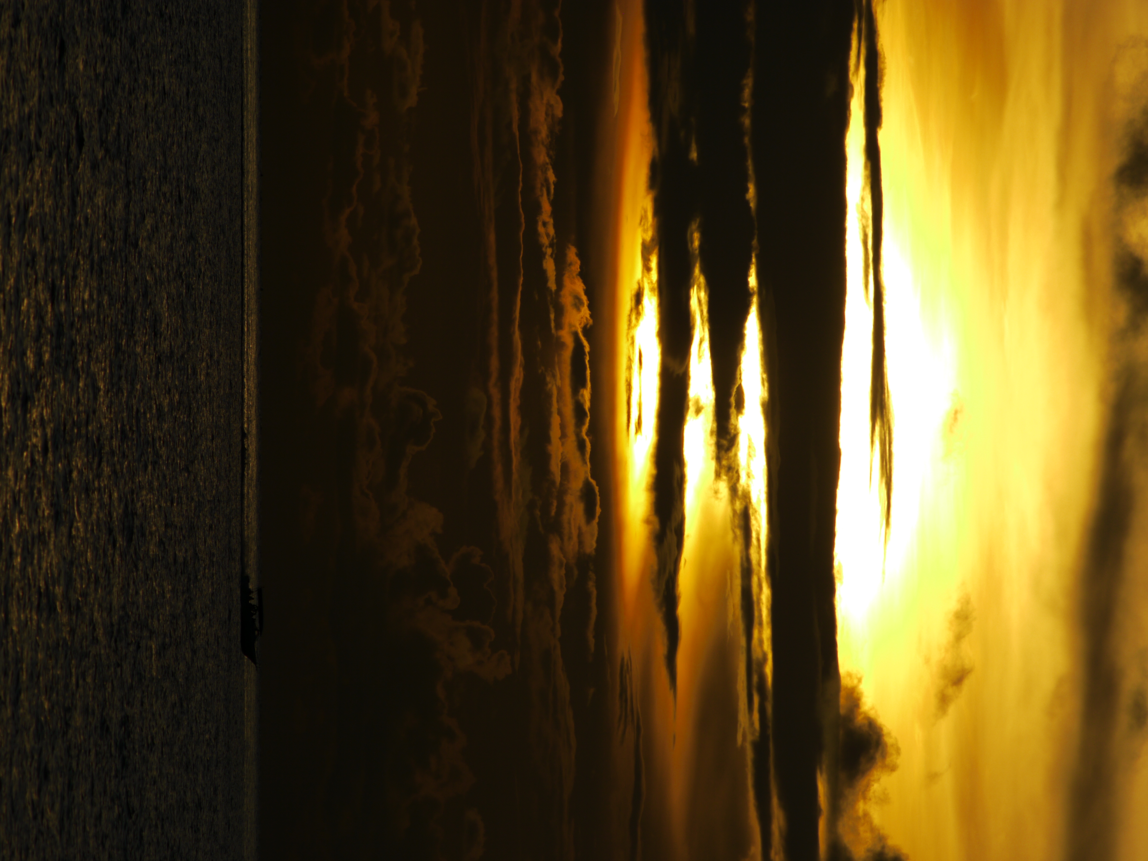 <b>DMC-GH1 / AF-S DX VR Zoom Nikkor ED 55-200mm F4-5.6 G（IF） / 約4.4MB / 4,000×3,000 / 1/2,500秒 / 0EV / ISO100 / WB:晴天</b>