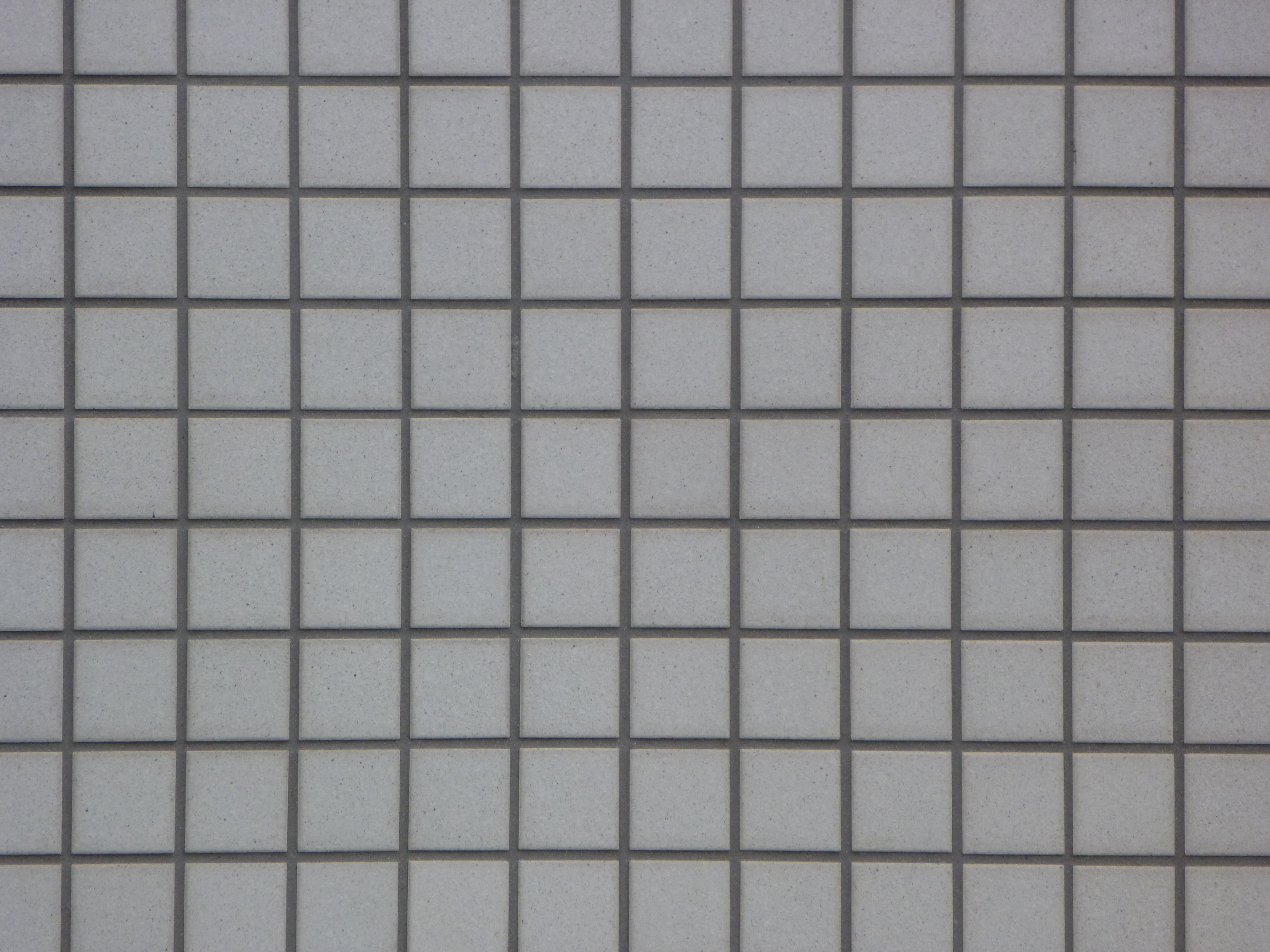 <b>望遠端<br>DMC-FP8 / 約5.5MB / 4,000×3,000 / 1/125秒 / F5.9 / 0EV / ISO160 / WB:オート / 23mm</b>