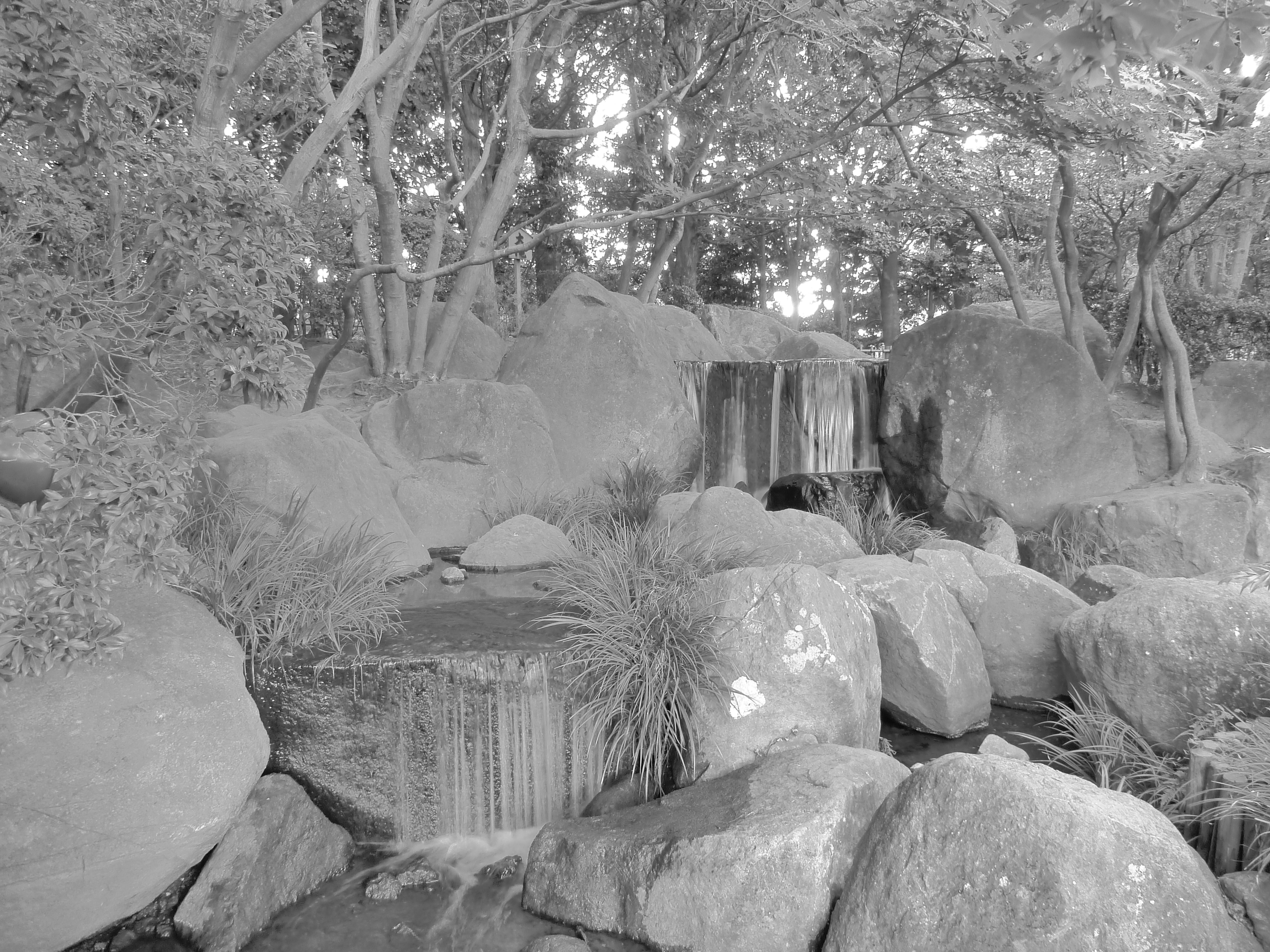 <b>ハイダイナミックモード：白黒<br>DMC-FP8 / 約5.9MB / 4,000×3,000 / 1/5秒 / F3.3 / 0EV / ISO400 / WB:オート / 5mm</b>